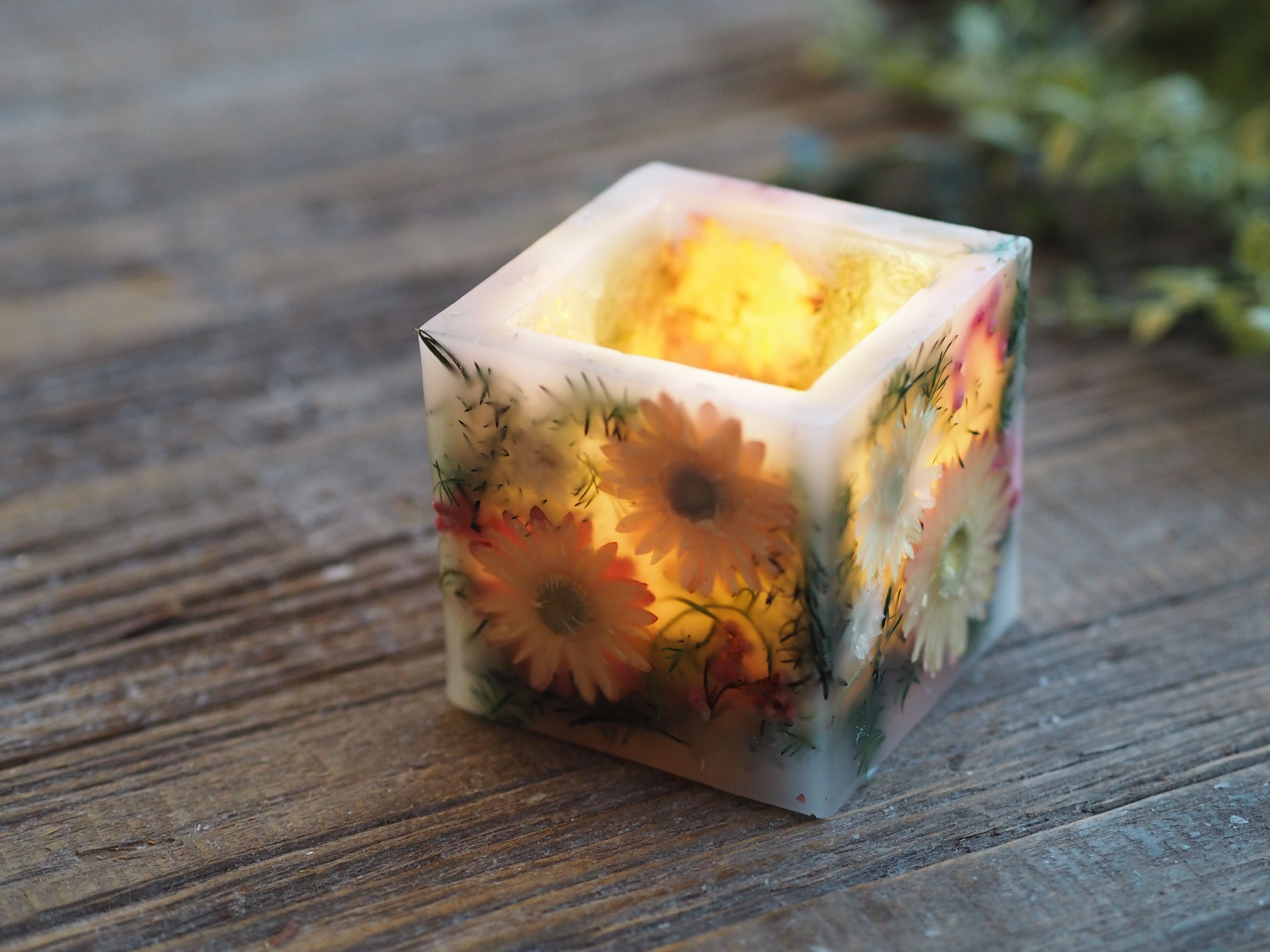  Flower・ botanical lantern