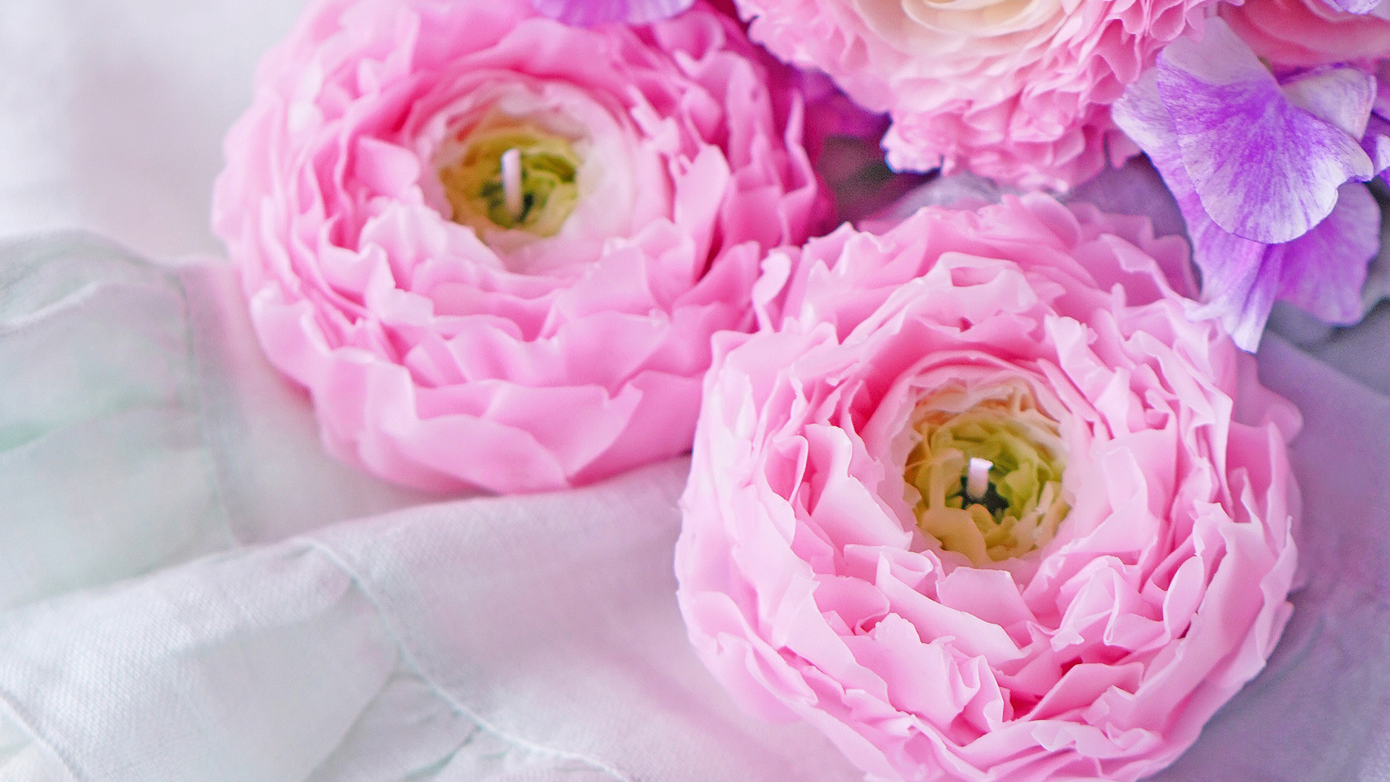 ひらひらの花びら！ポンポンラナンキュラス（お色が選べます）