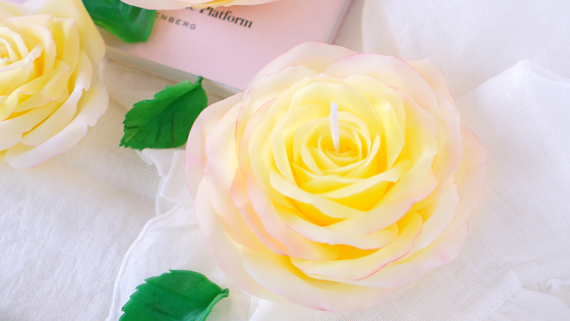 世界で最も有名なバラ「ピース」（バラの殿堂入り　大輪です）