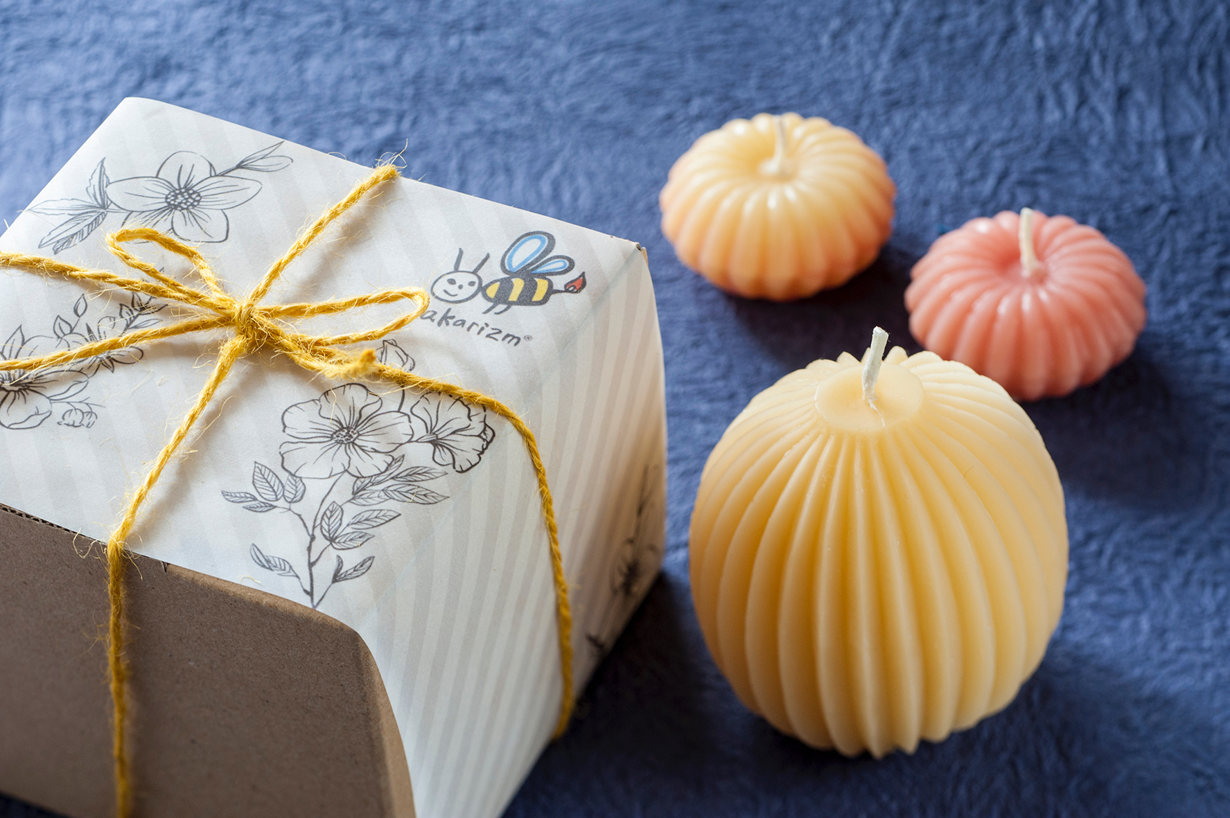 溶けていく姿が美しい、育てるミツロウキャンドルのギフトセット