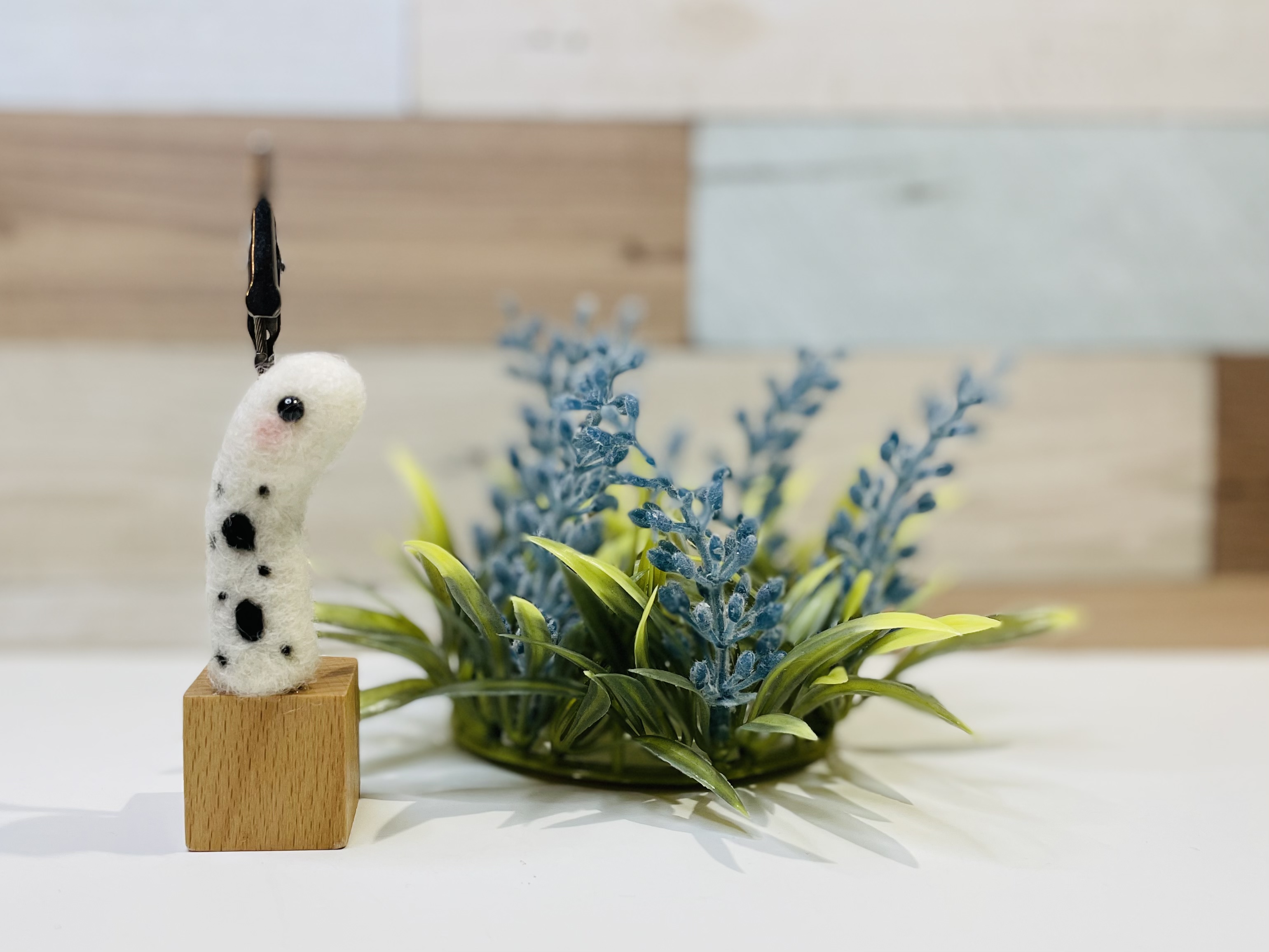 羊毛フェルトチンアナゴのメモスタンドキット