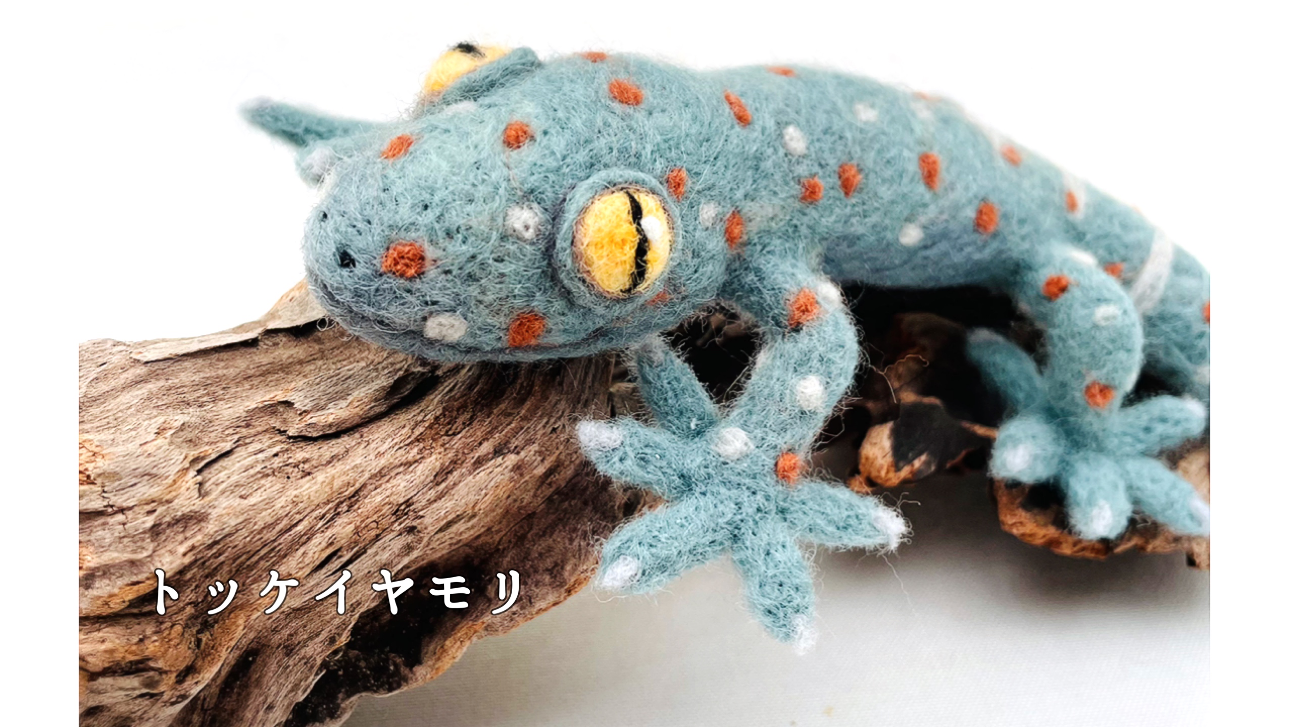 手が可愛いトッケイヤモリ