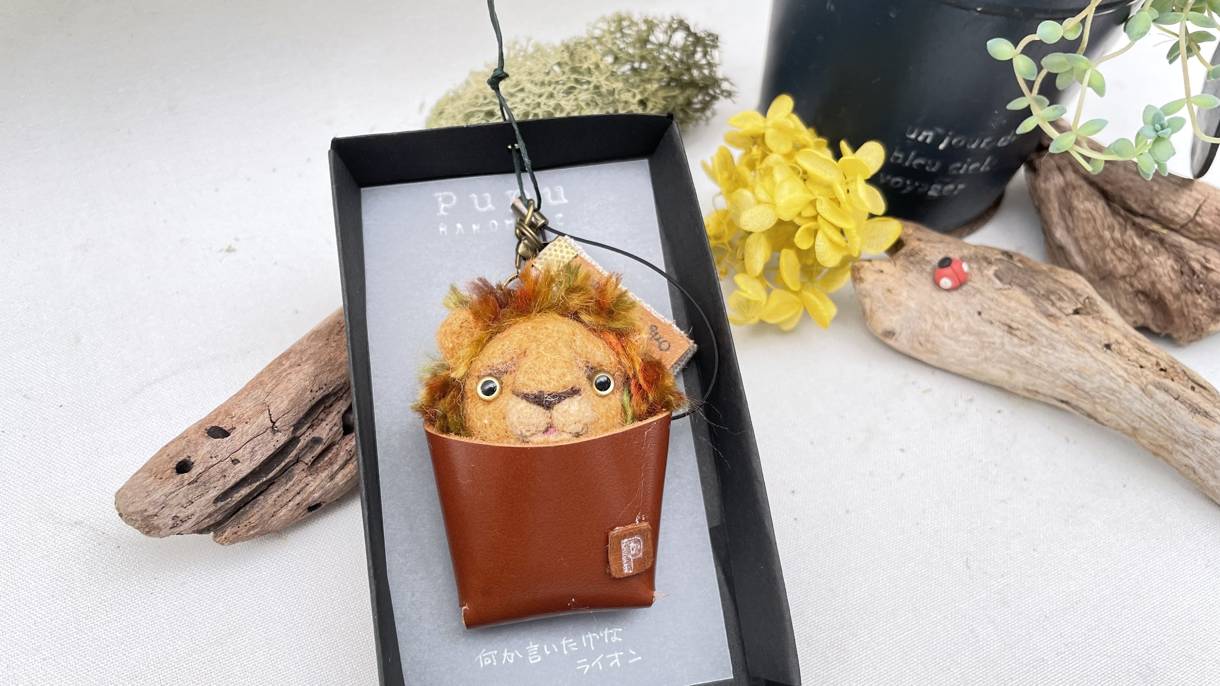 何かいいだけなライオン