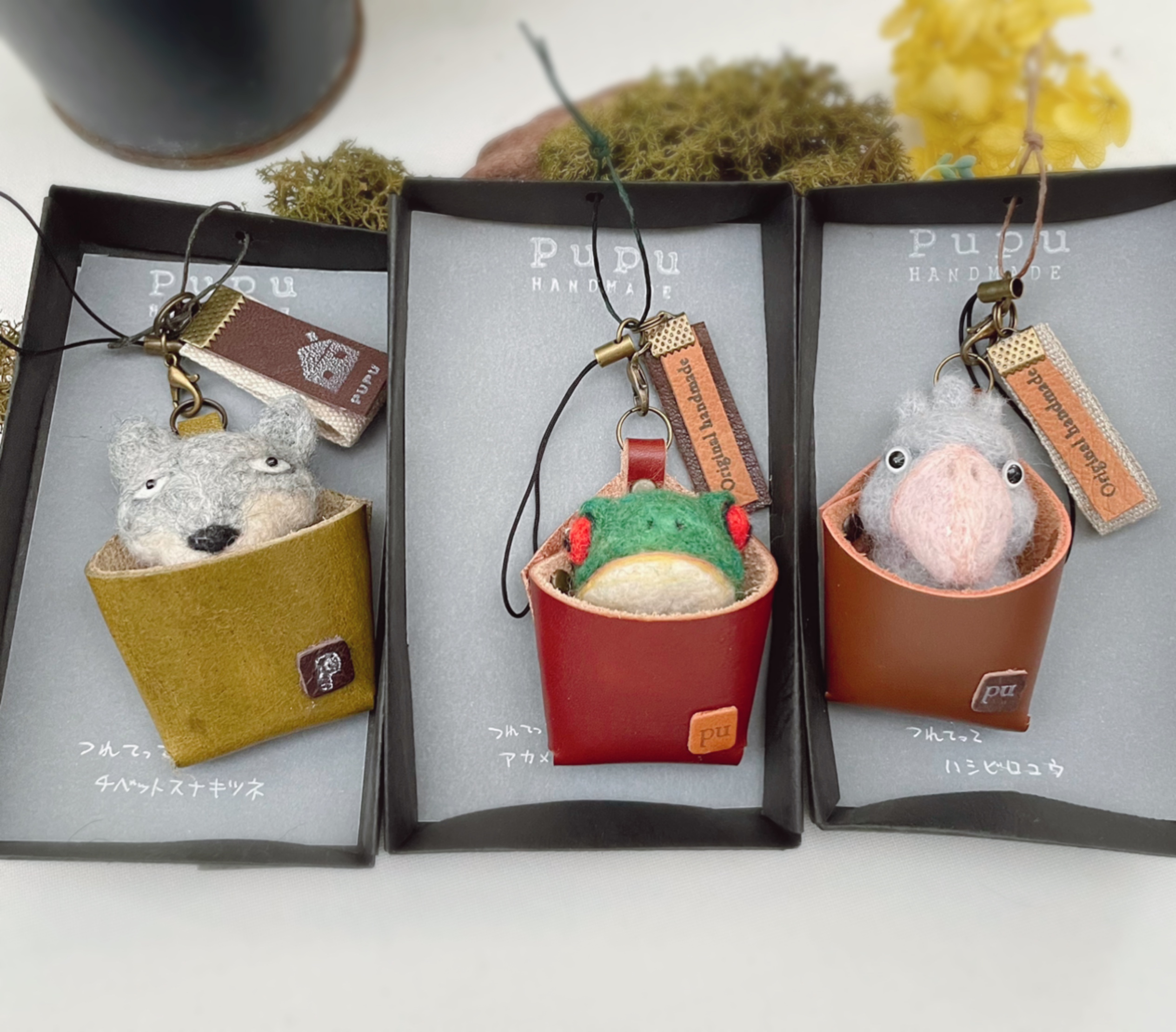 つれてってチベットスナキツネ