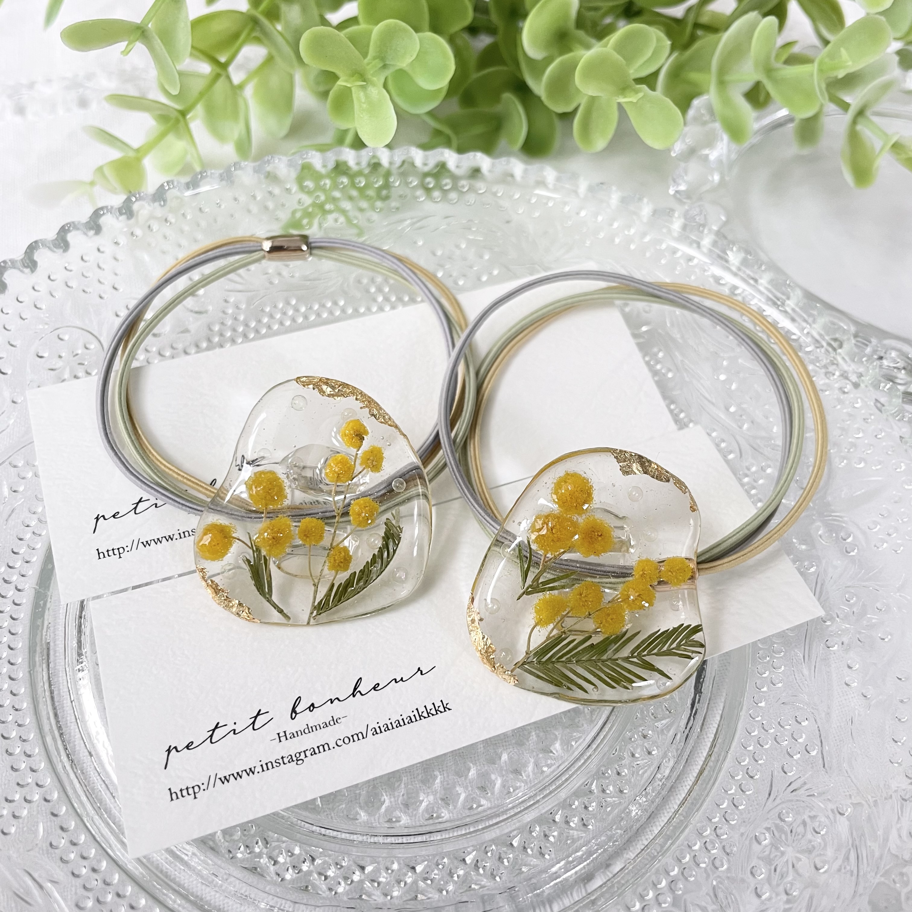 晴れの日の水たまり𓆸ミモザ𓆸