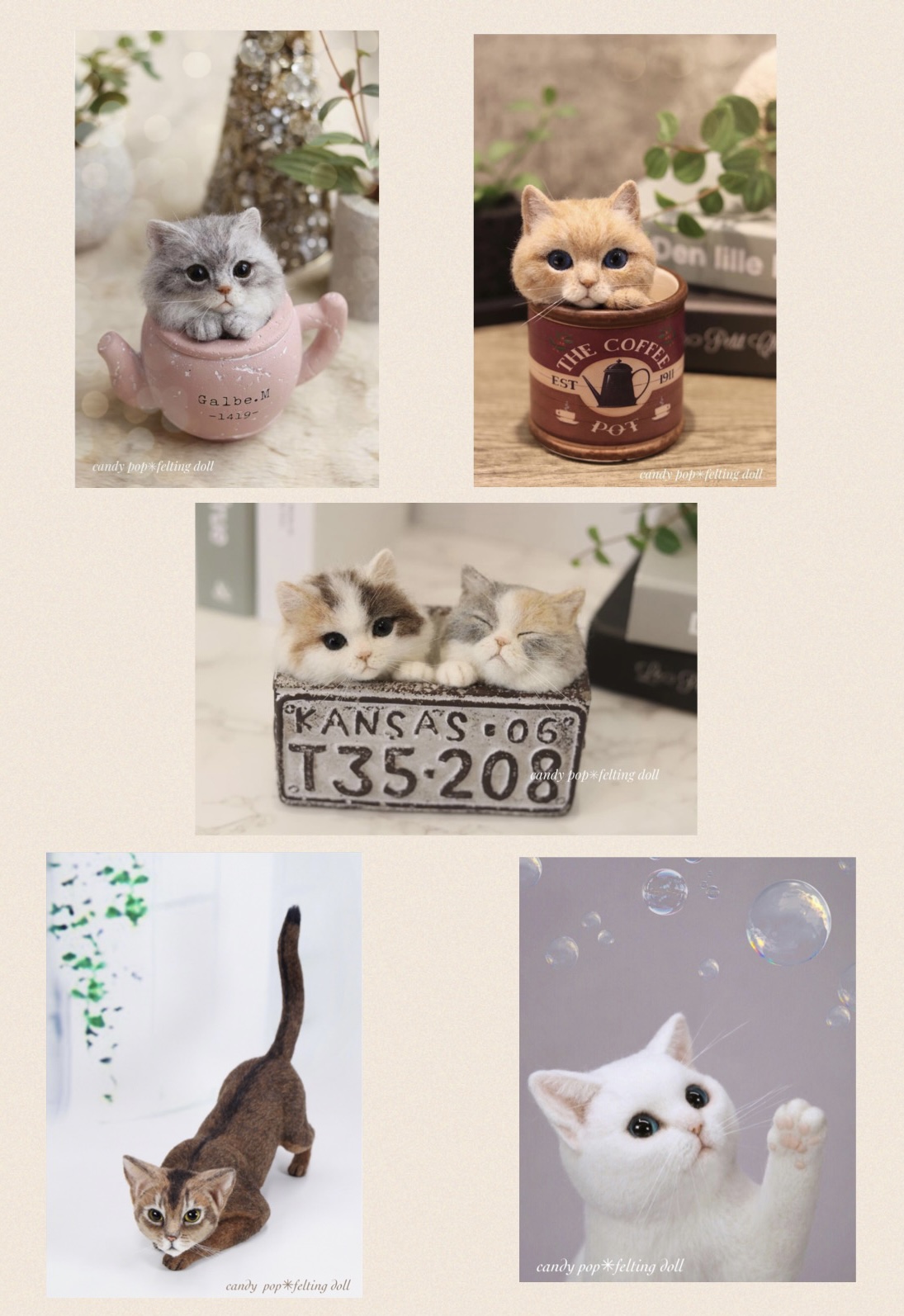 ポストカード ５枚セット