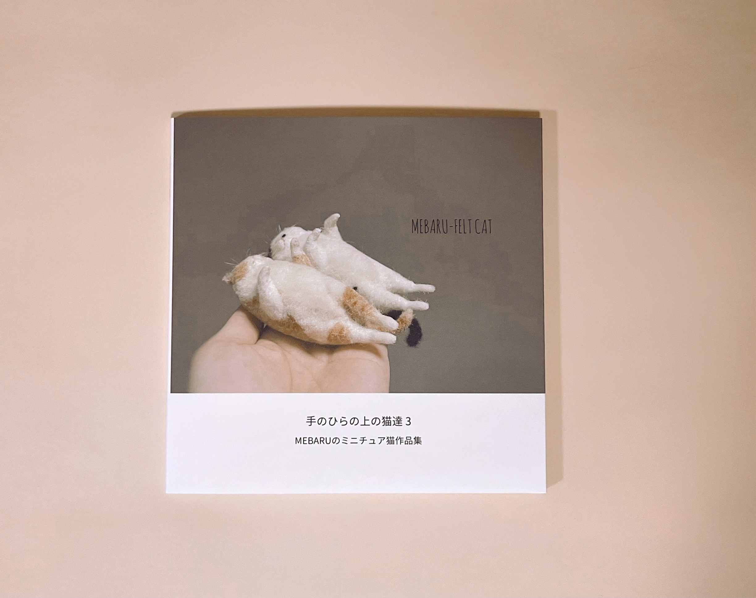 手のひらの上の猫達③