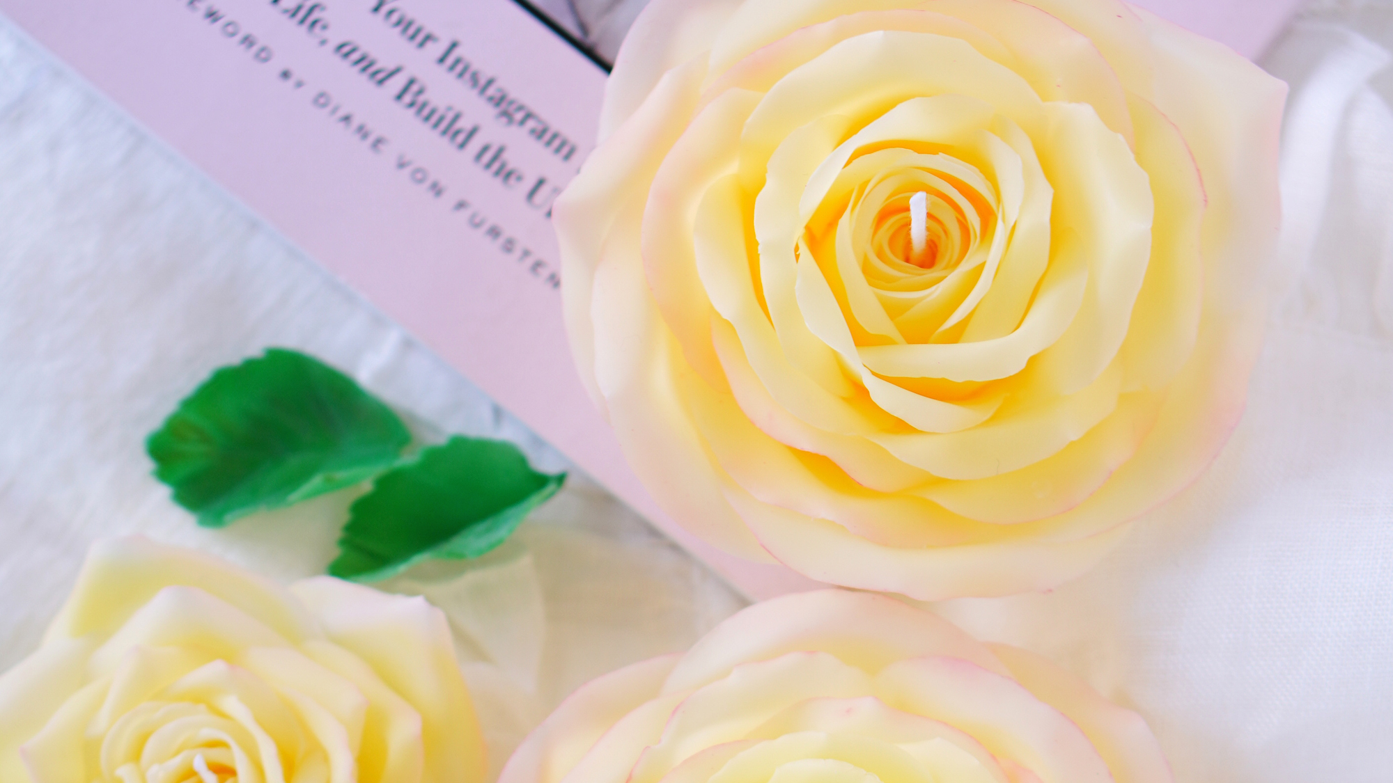 世界で最も有名なバラ「ピース」（バラの殿堂入り　大輪です）の画像2