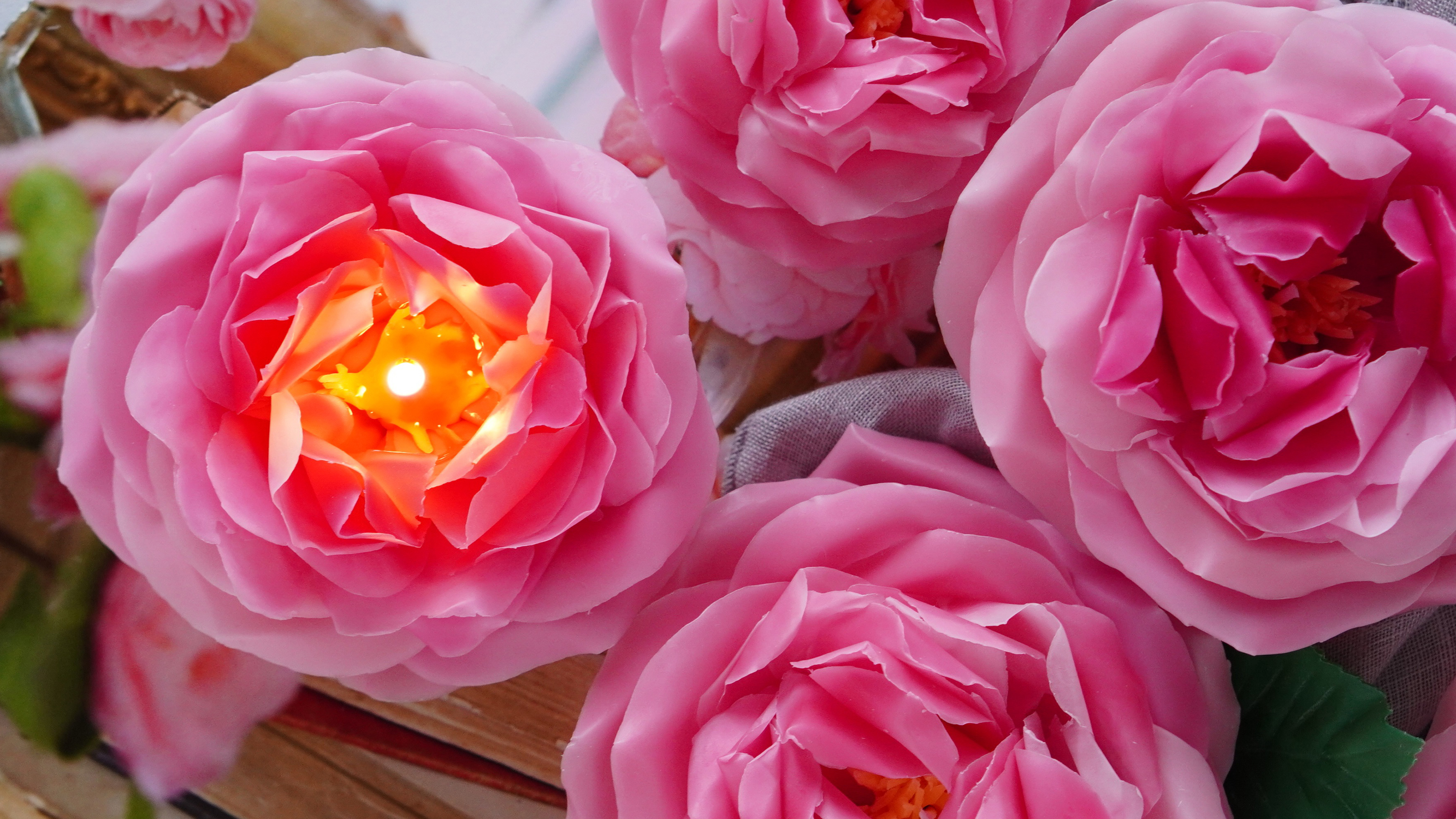 貴婦人の様な華麗な咲き姿　ローズポンパドール（大輪です）の画像2