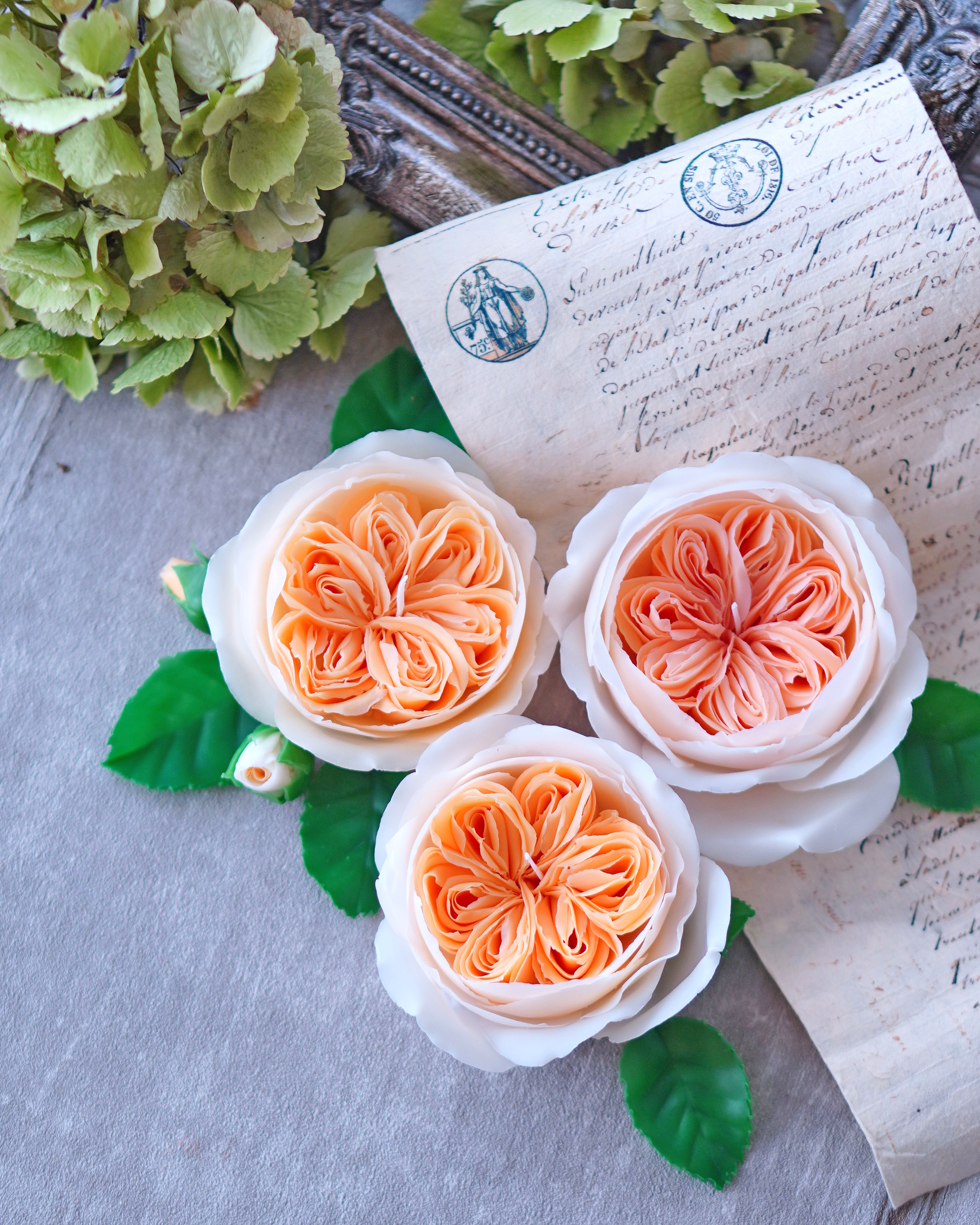 優しくエレガントに咲くバラ　ジュリエットの画像2