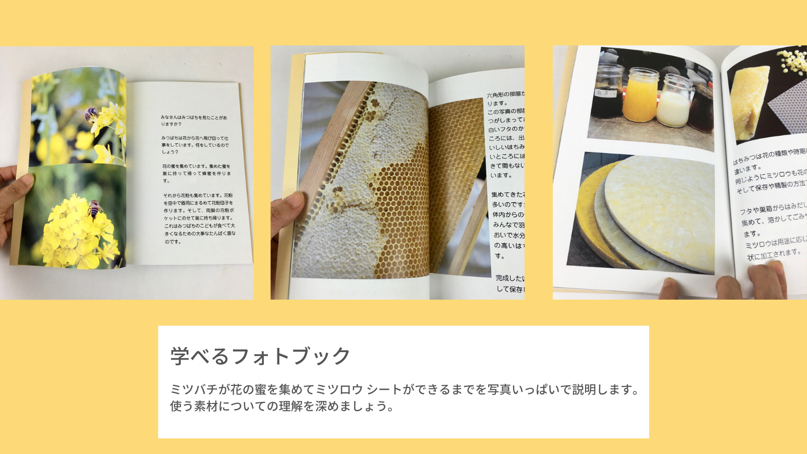 ミツバチとミツロウのおはなし〔フォトブック〕の画像2