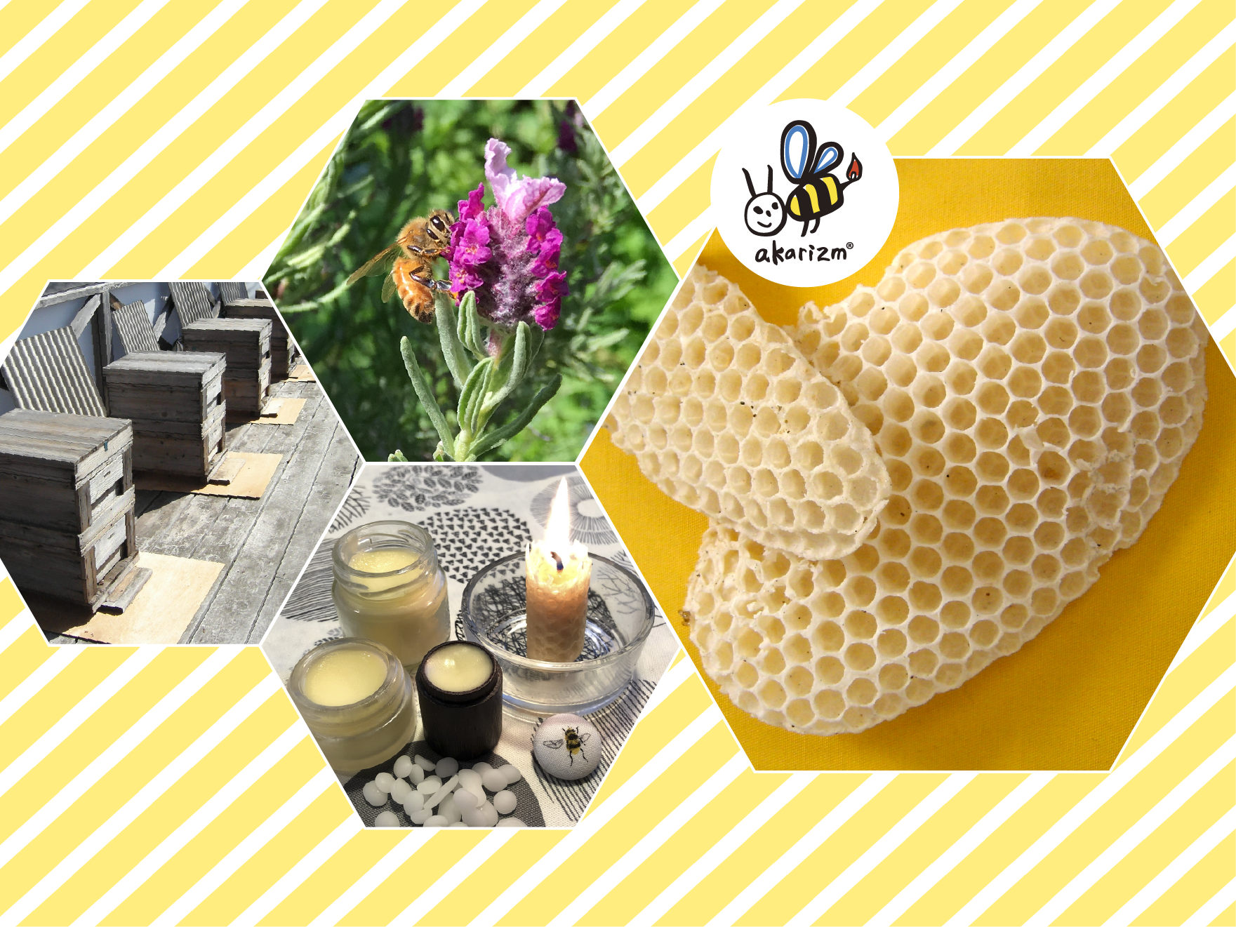 ミツバチとミツロウのおはなし〔フォトブック〕の画像3