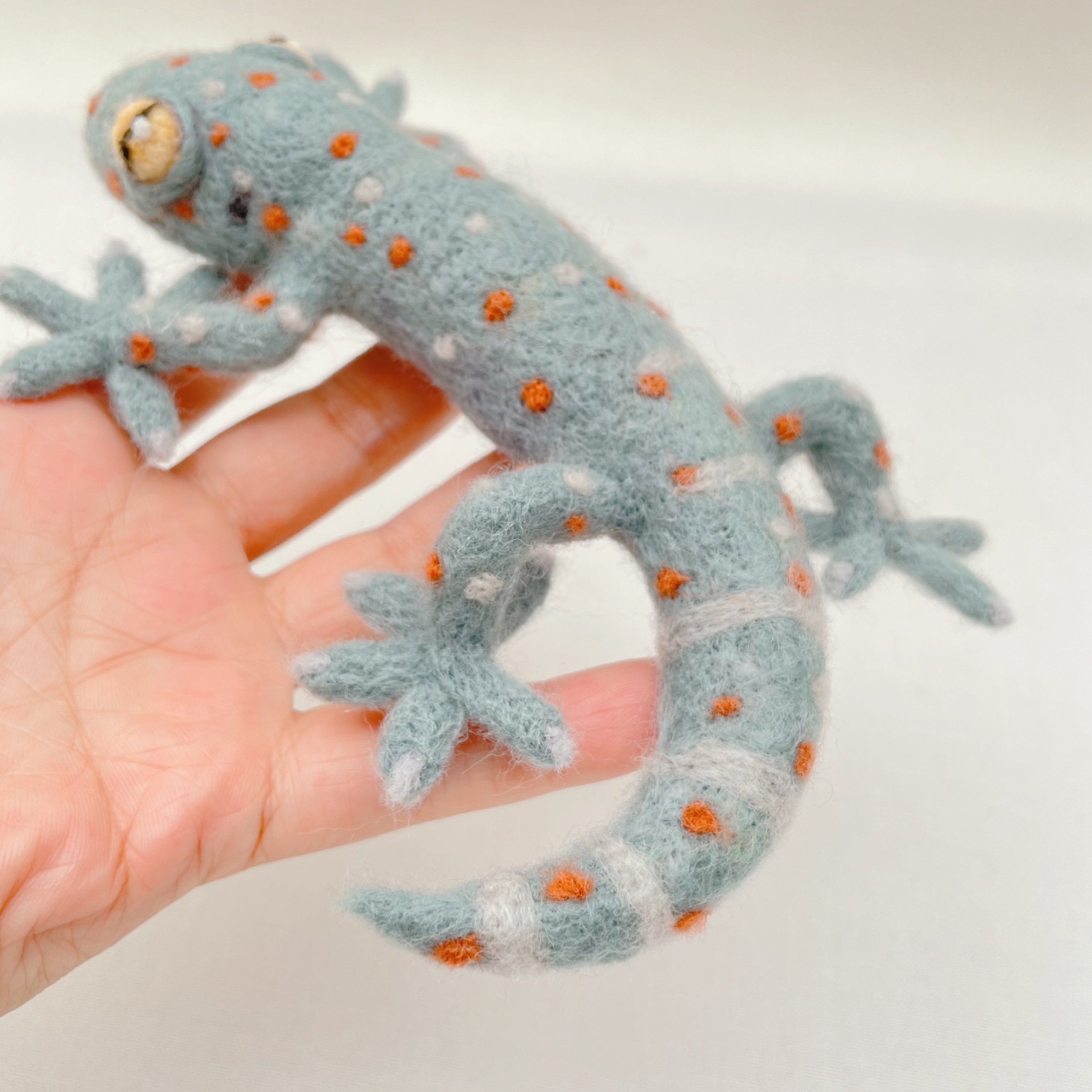 手が可愛いトッケイヤモリの画像4