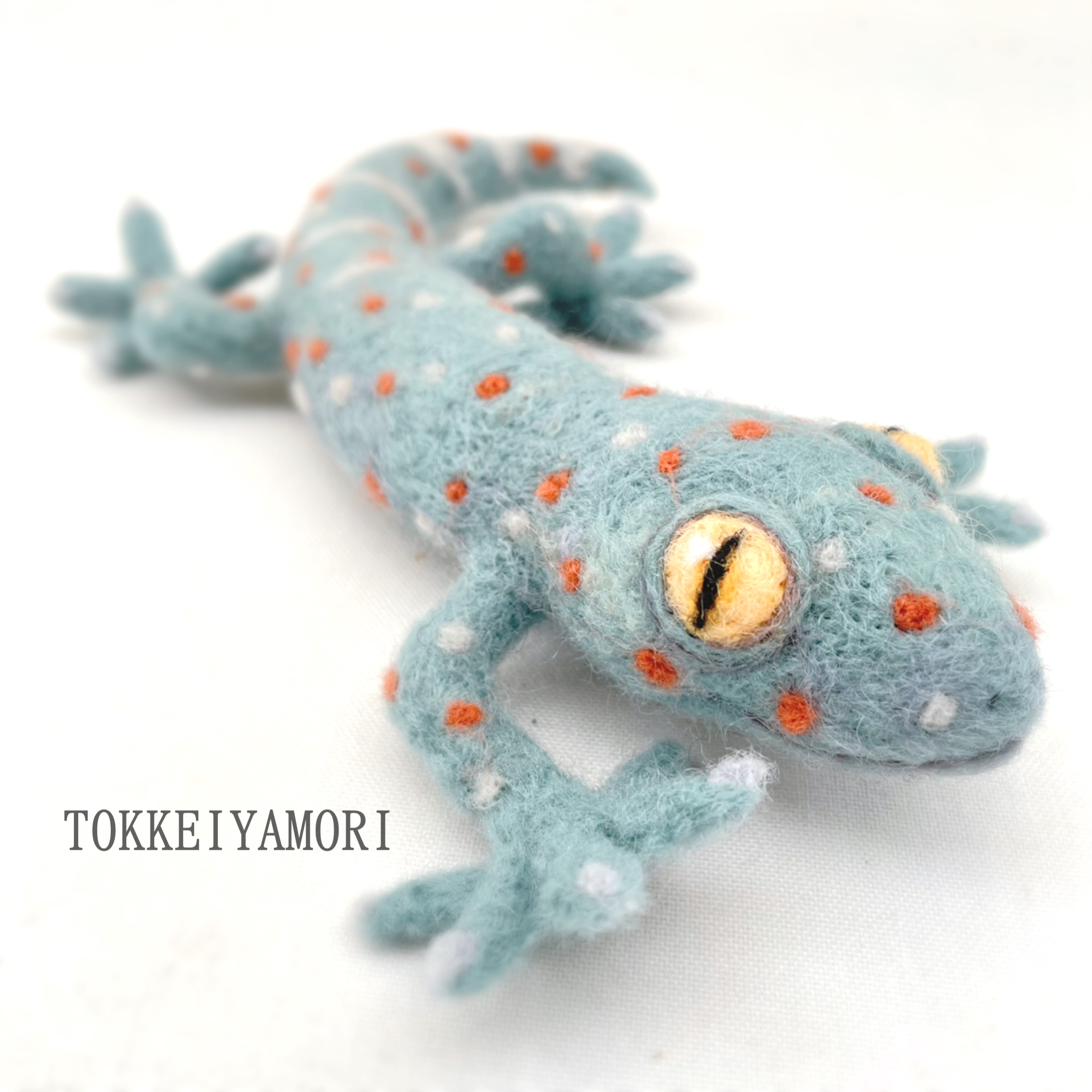 手が可愛いトッケイヤモリの画像6