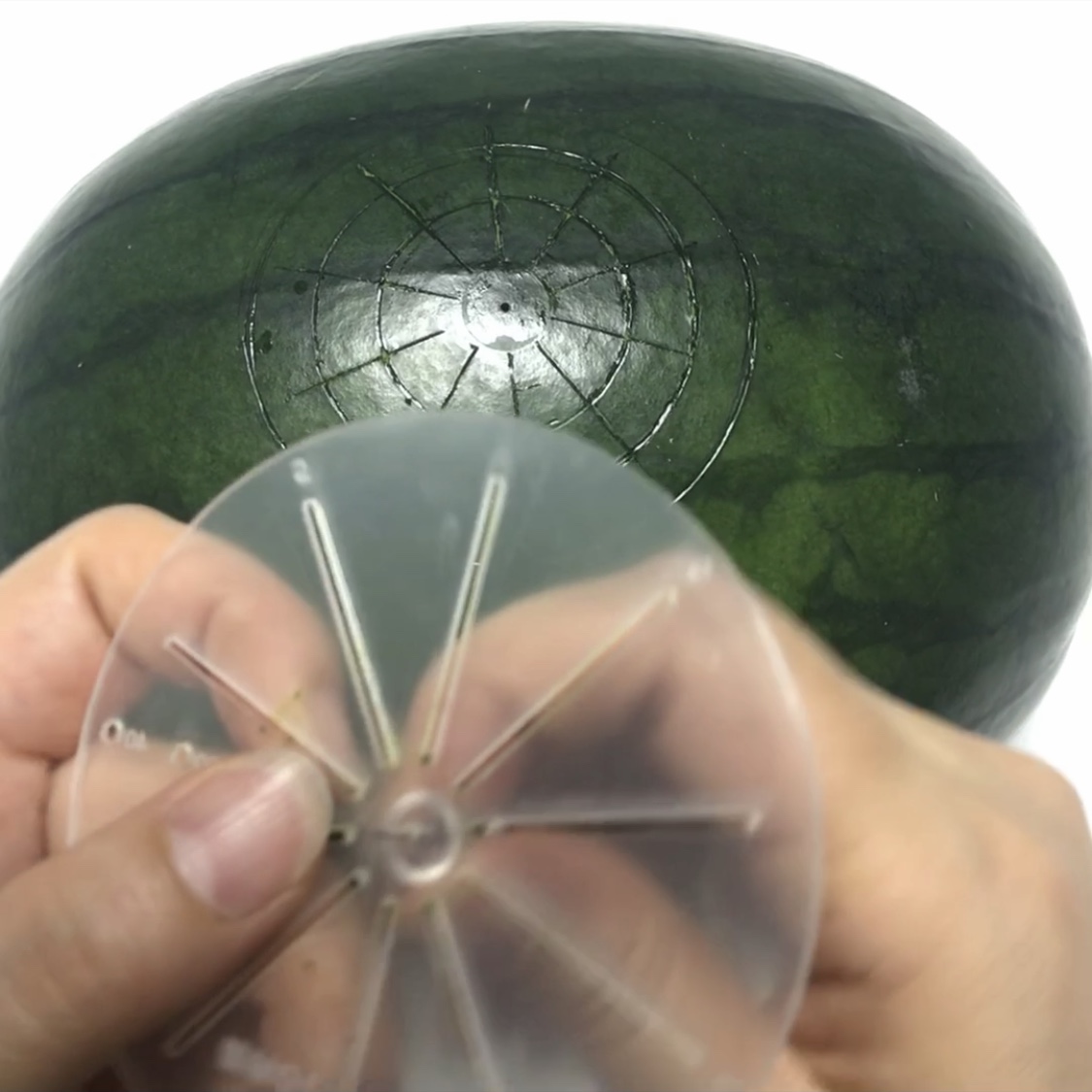 等分スケール(分割定規)の画像3