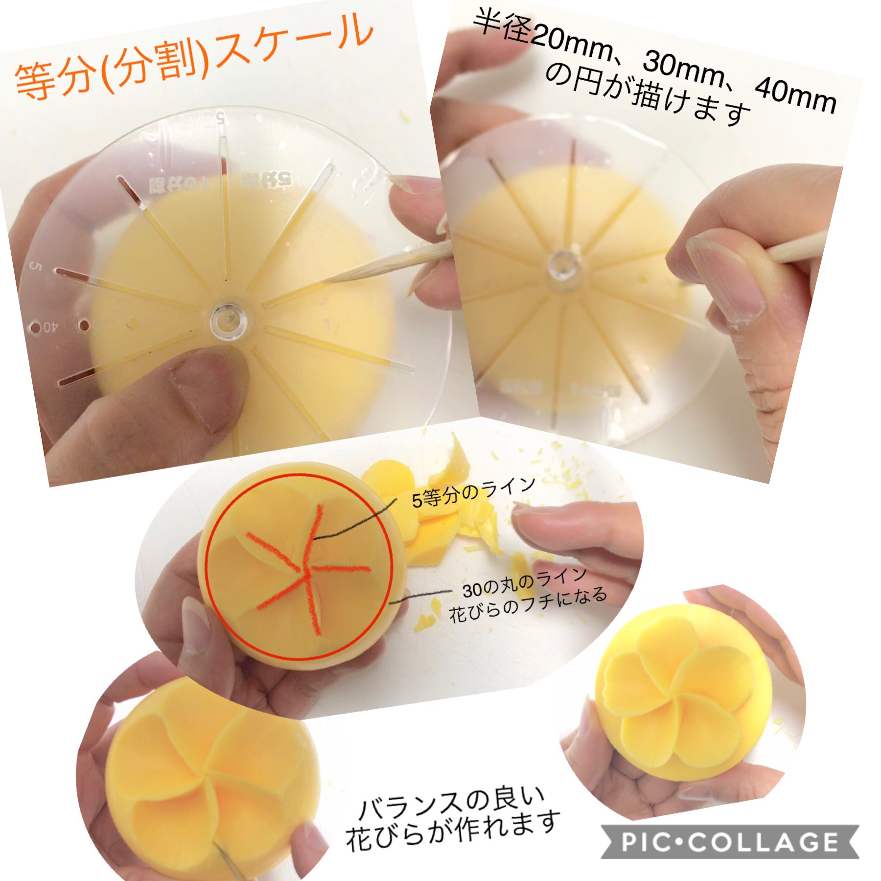 等分スケール(分割定規)の画像6