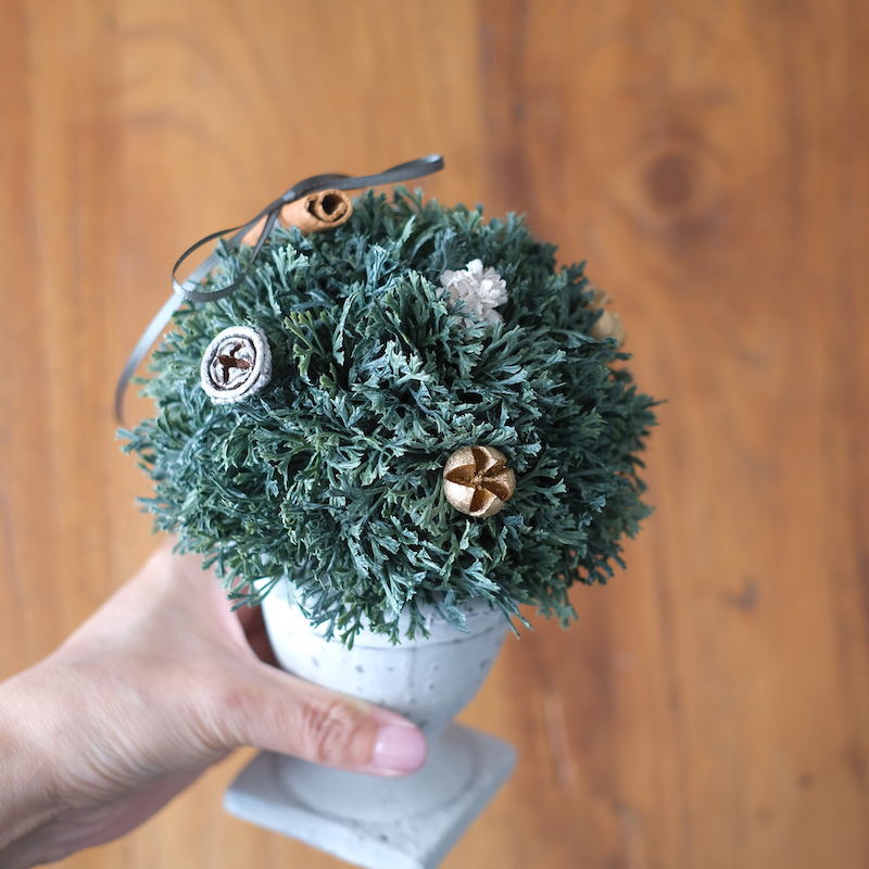 キット【クリスマスのグリーンポット】の画像3