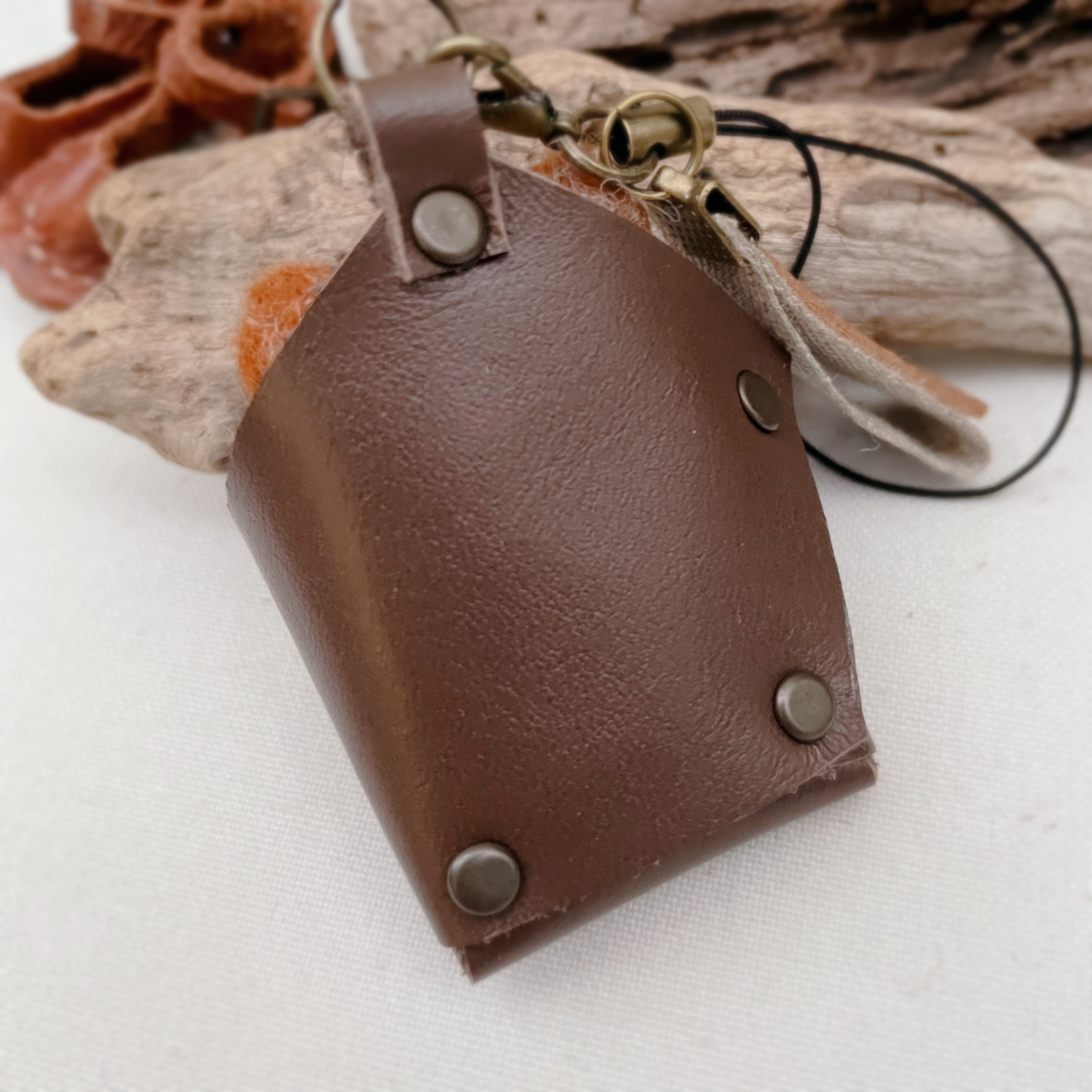 つれてってレッサーパンダの画像3