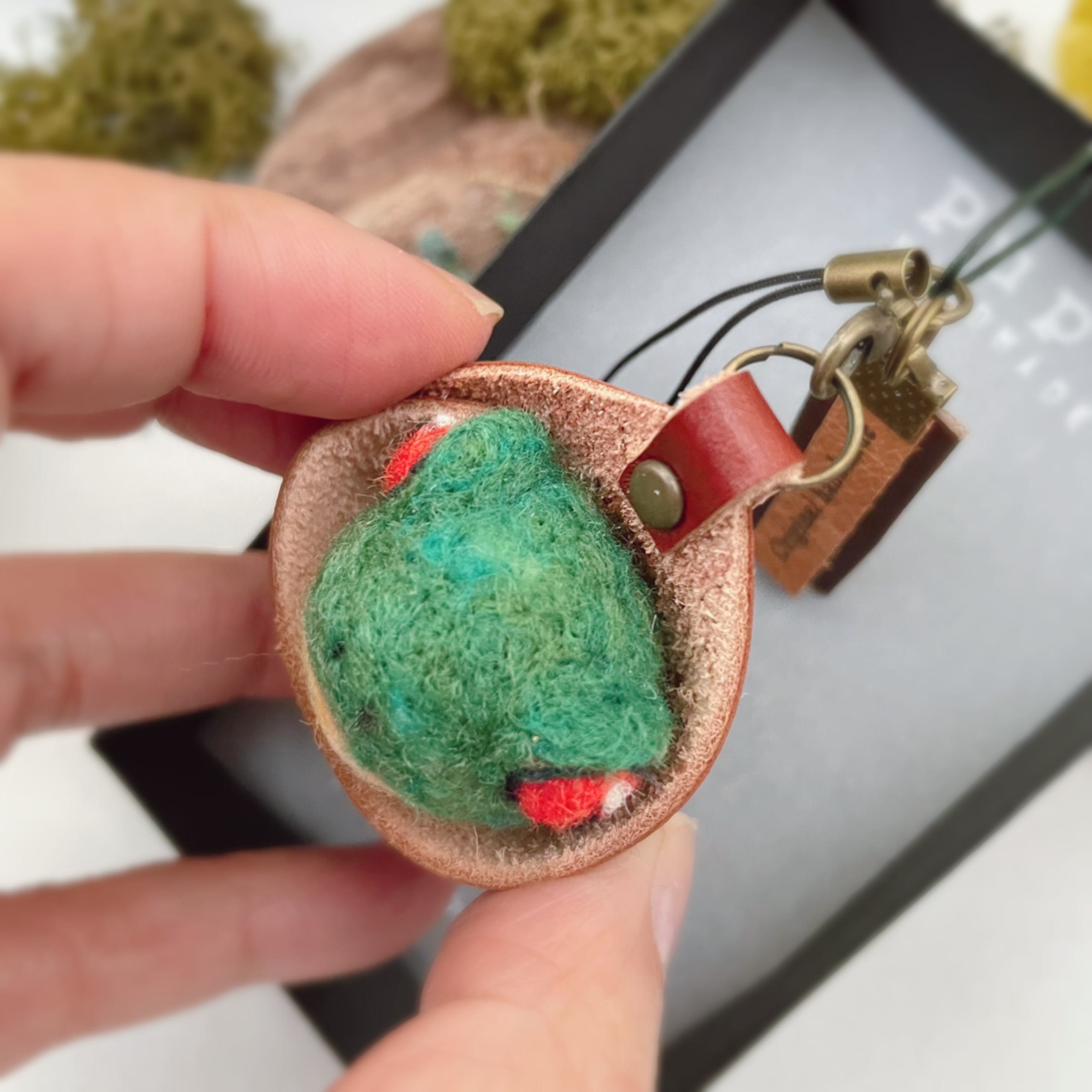 つれてってアカメアマガエルの画像3