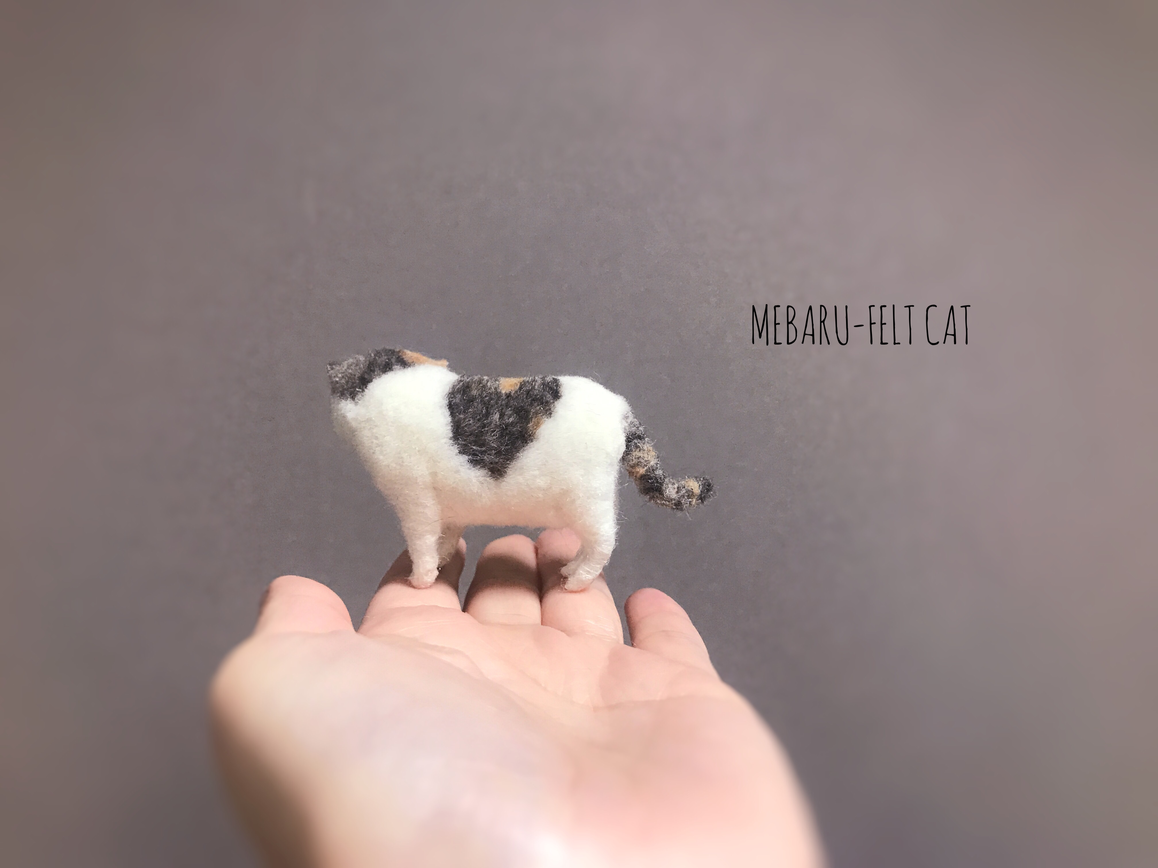 三毛猫　立ちポーズの画像2