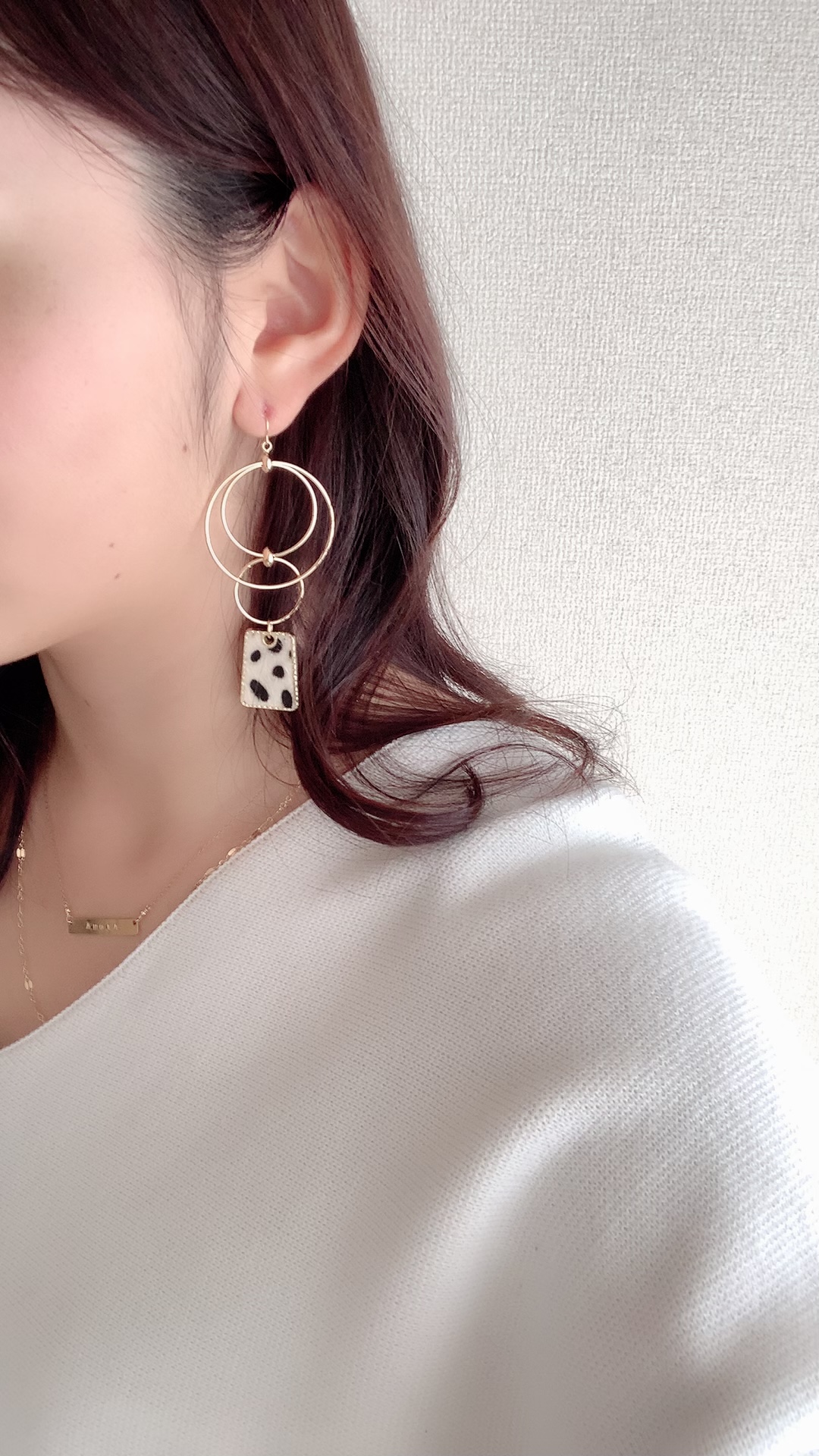 Dalmatian hoopの画像8