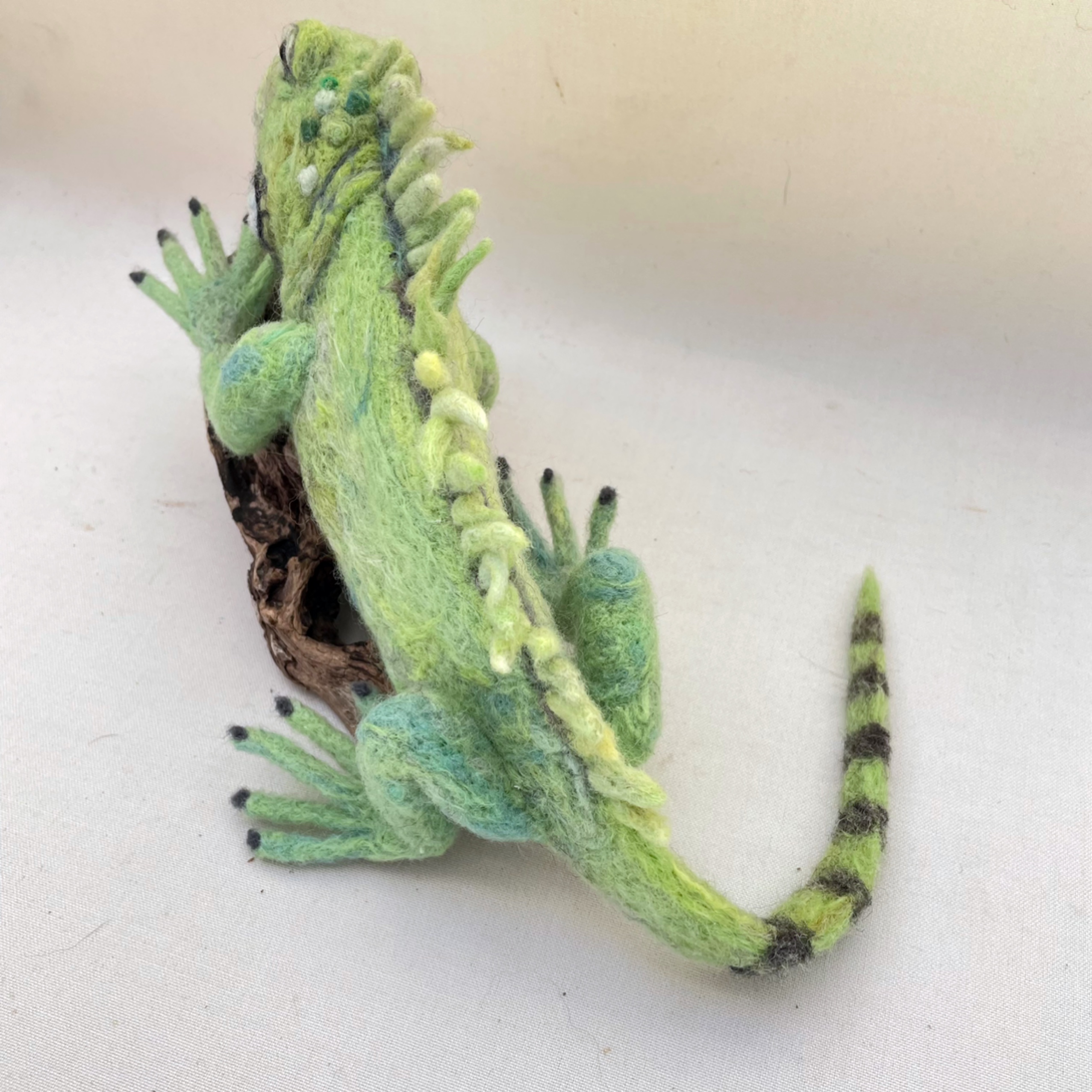 グリーンイグアナ約38cm［流木付き］の画像3