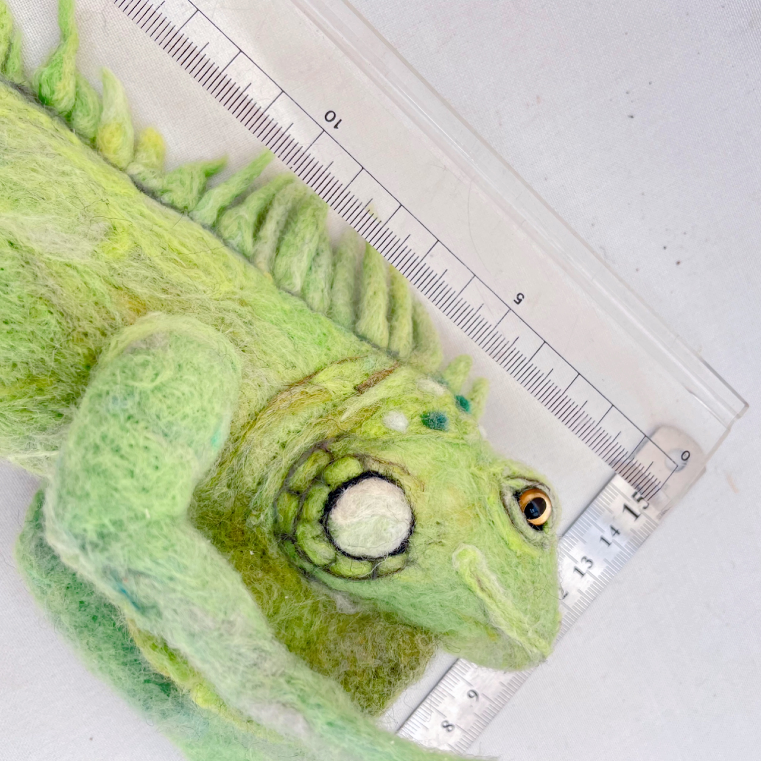 グリーンイグアナ約38cm［流木付き］の画像6