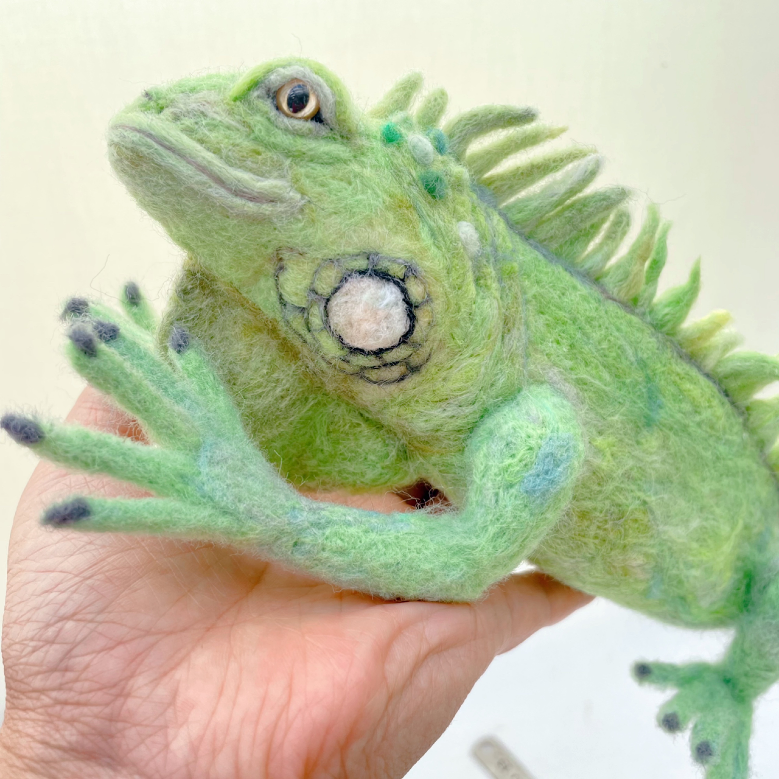 グリーンイグアナ約38cm［流木付き］の画像7