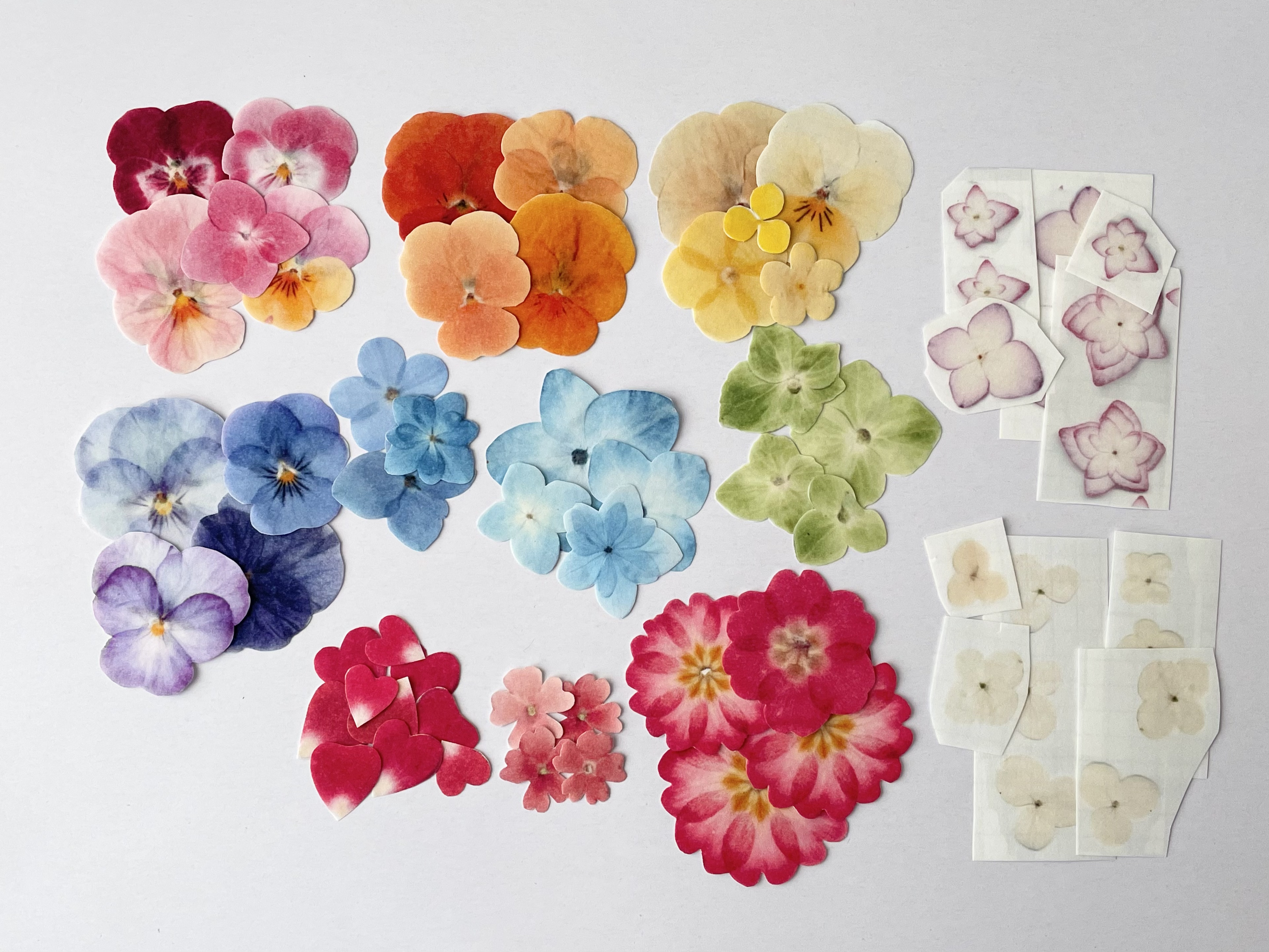 プリントフラワーキット≪基本セット≫※レッスン動画ご購入の方のみ購入できますの画像2