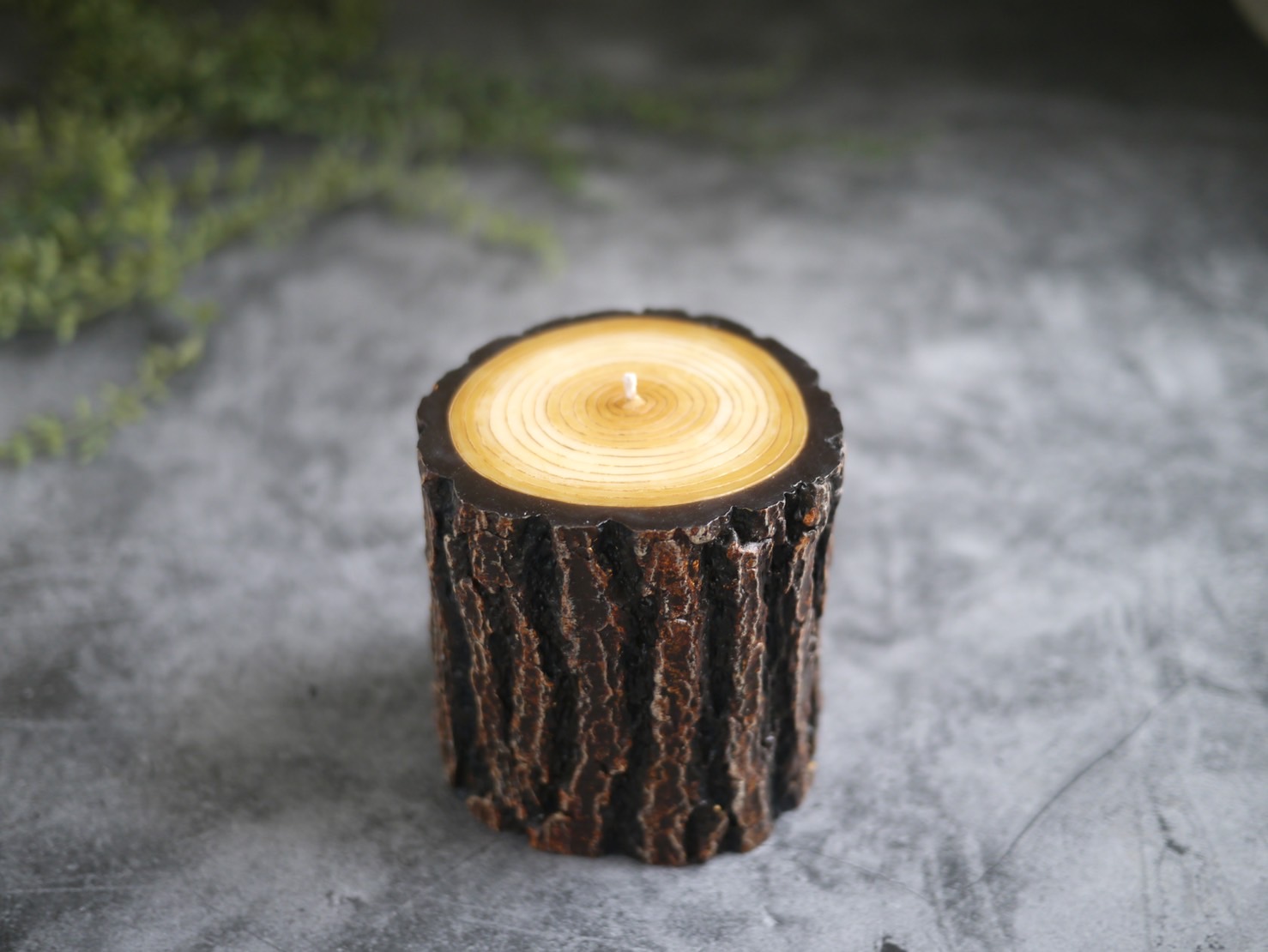 【受注製作】原型  丸太キャンドルBROWN 【Plaster Prototype】LOG CANDLE BROWNの画像4