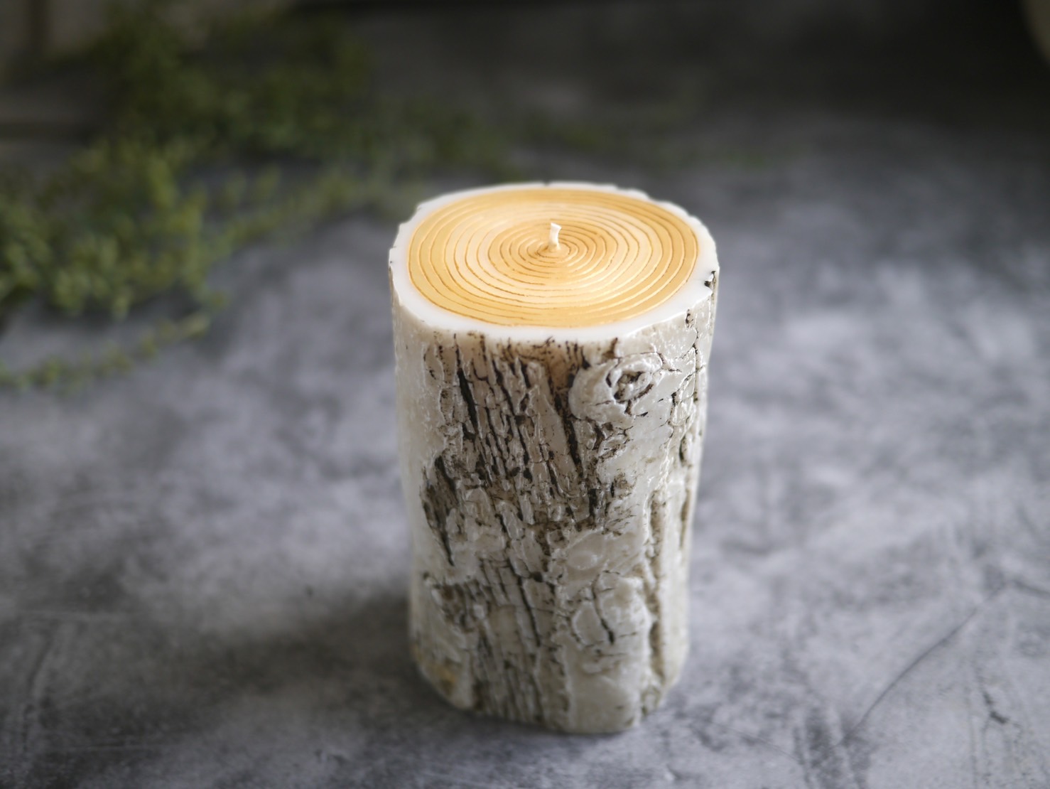 【受注製作】原型  丸太キャンドルWHITE 【Plaster Prototype】LOG CANDLE WHITEの画像4