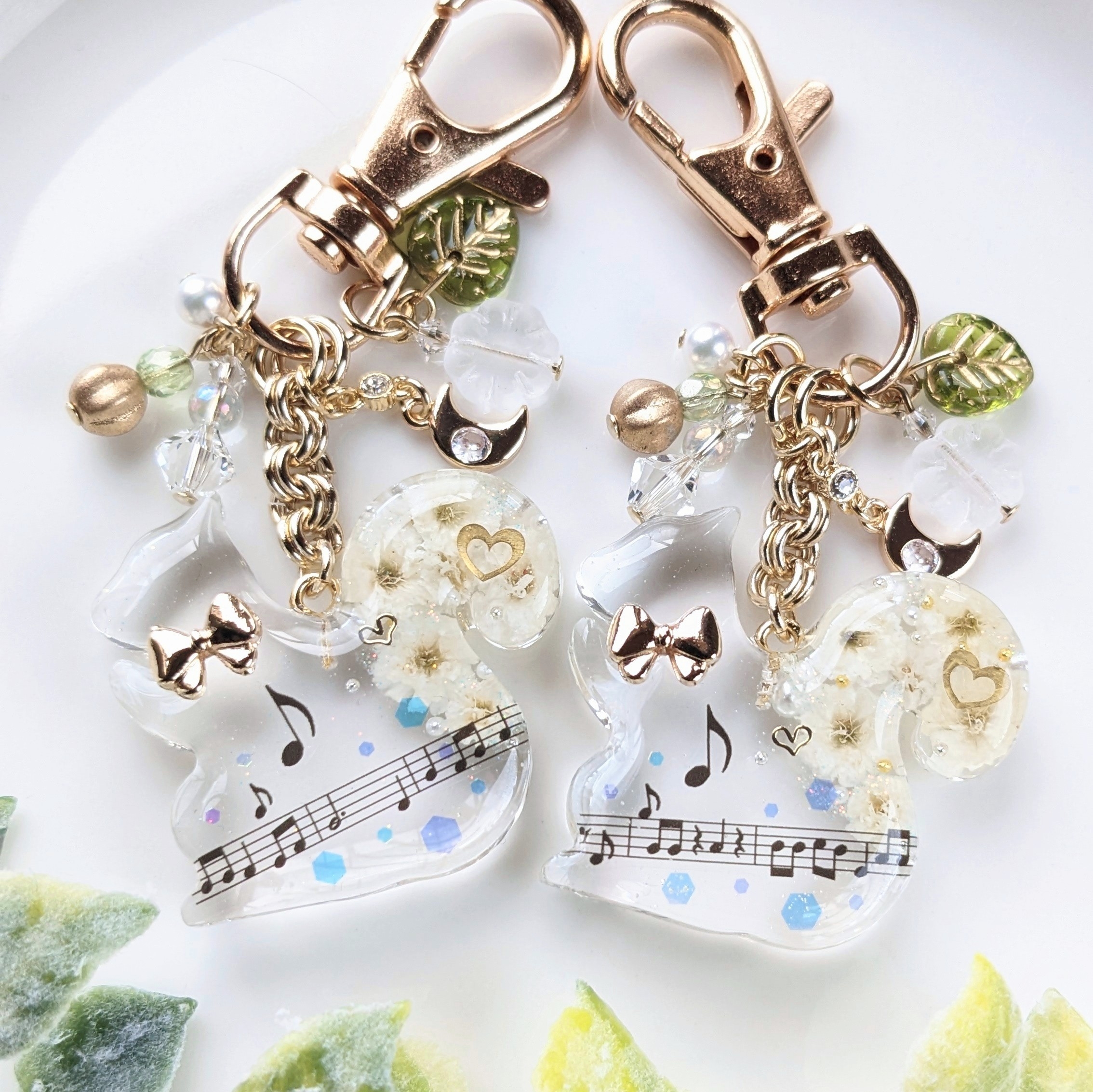 Squirrel music festivalの画像4