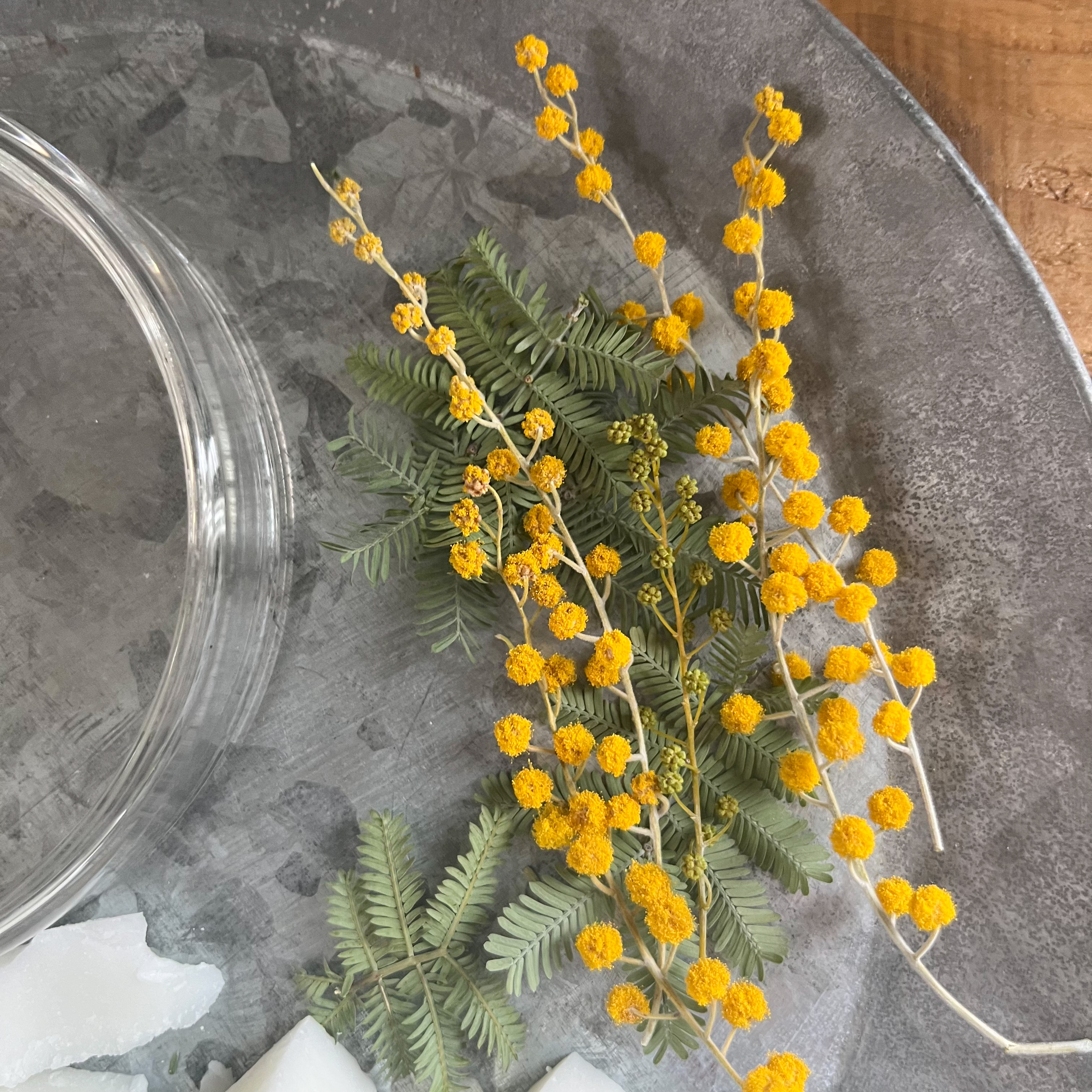 ミモザのシャーレメッセージキャンドルの材料キットの画像2