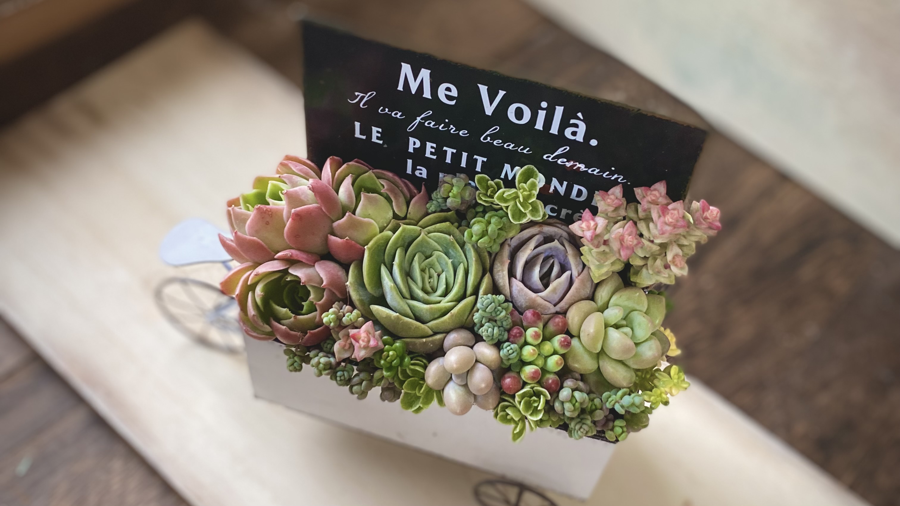 自転車の花車寄せの画像2