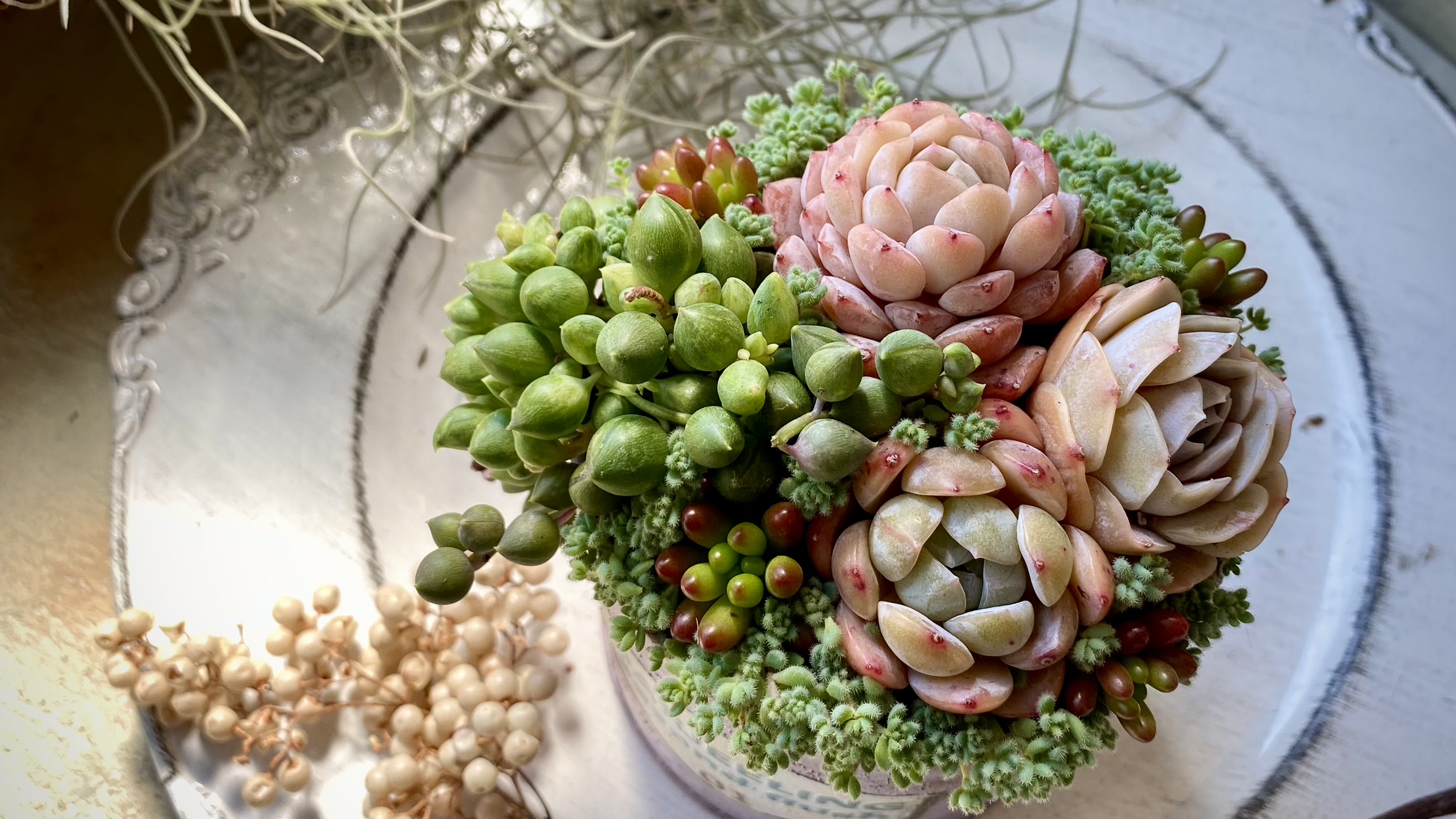 あの頃を思い出す…『思い出寄せ植え💕』セットの画像3