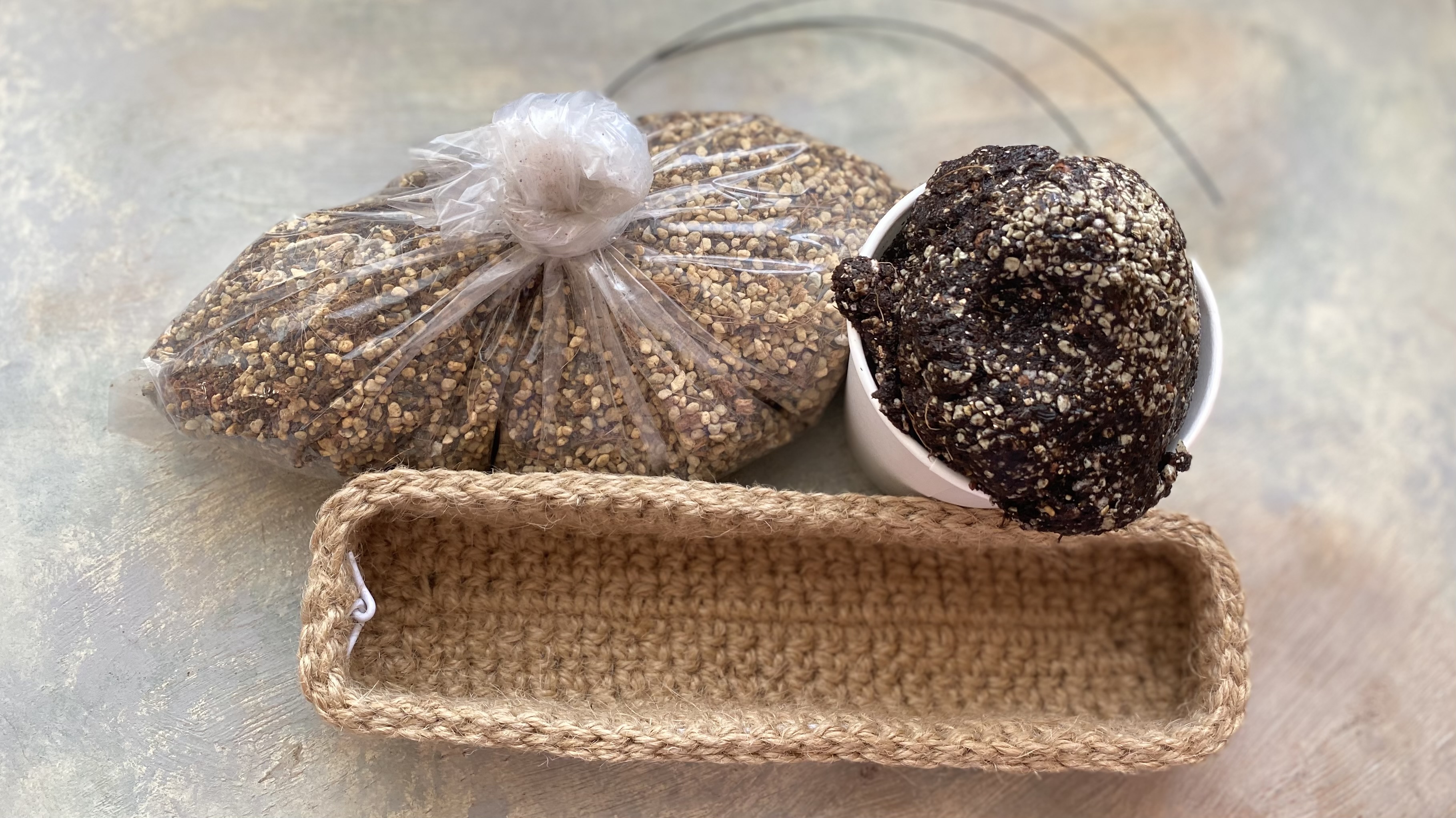 『Rectangle』 壁に飾れる長方形寄せ植えセット💕の画像3