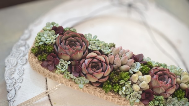 『Rectangle』 壁に飾れる長方形寄せ植えセット💕の画像4