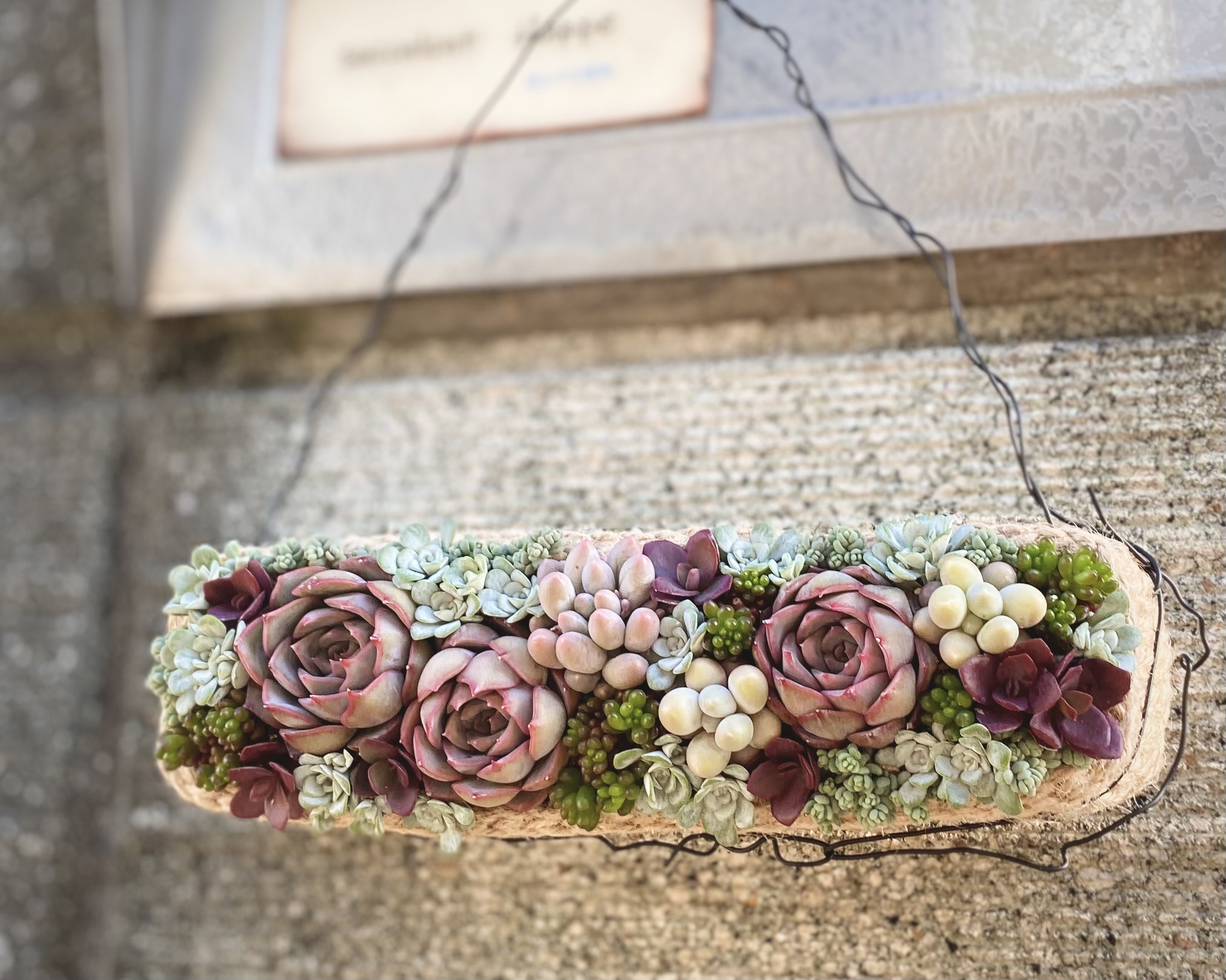 『Rectangle』 壁に飾れる長方形寄せ植えセット💕の画像5