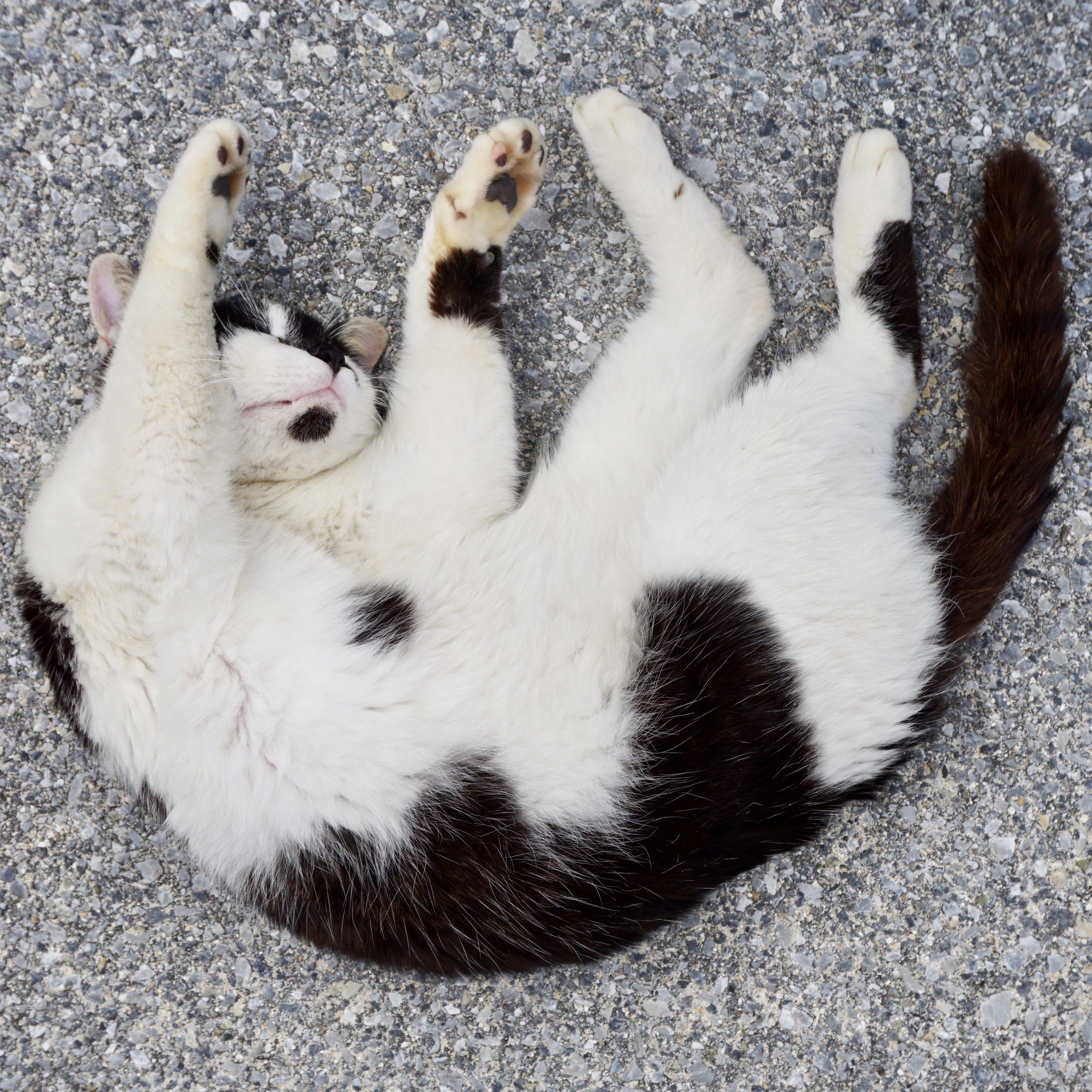 オーダーアートの画像8