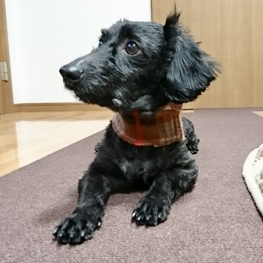 オーダーアートの画像16