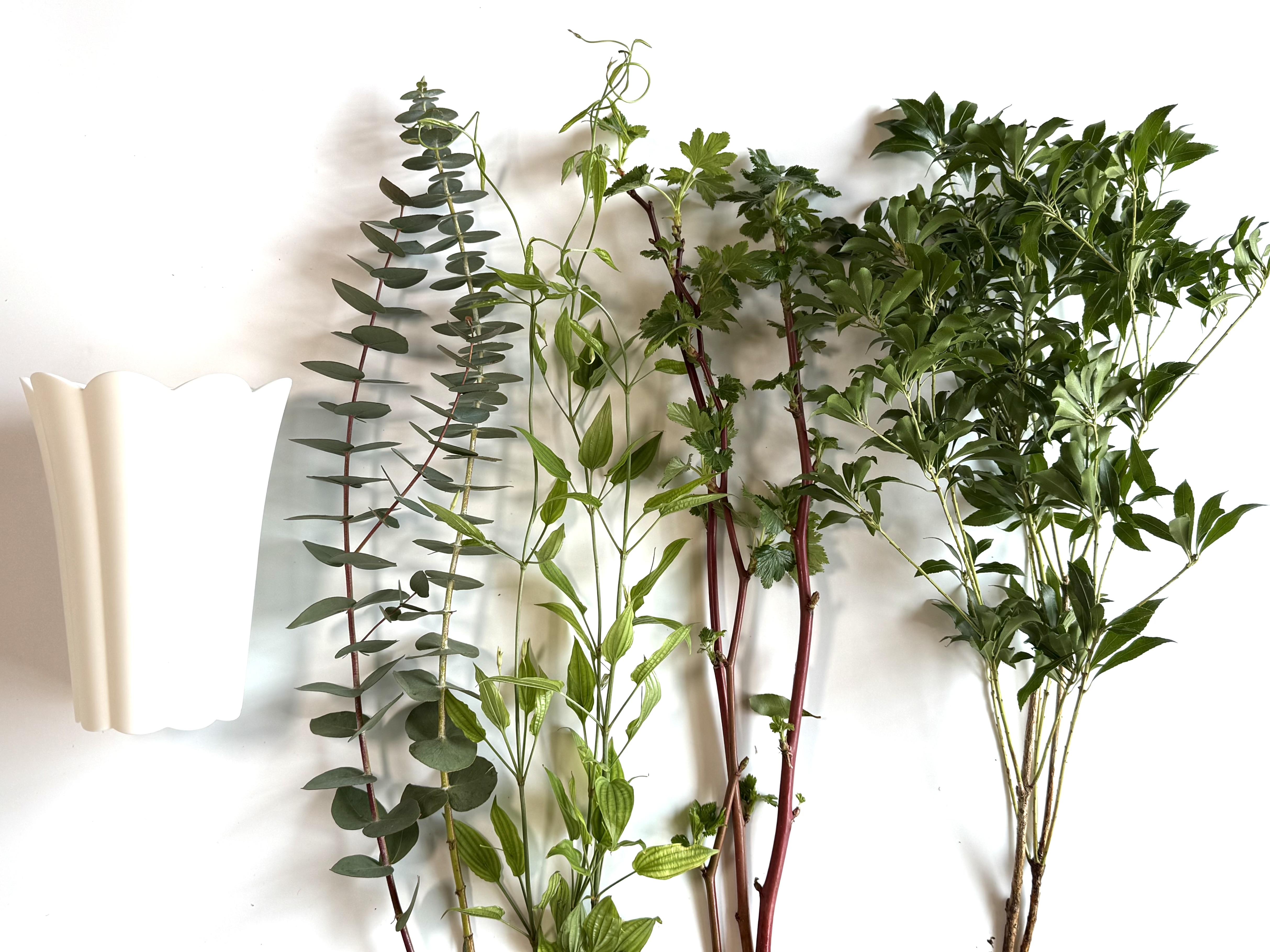 枝物の花瓶の飾り方キット　（枝ものとフラワーベース付）の画像3