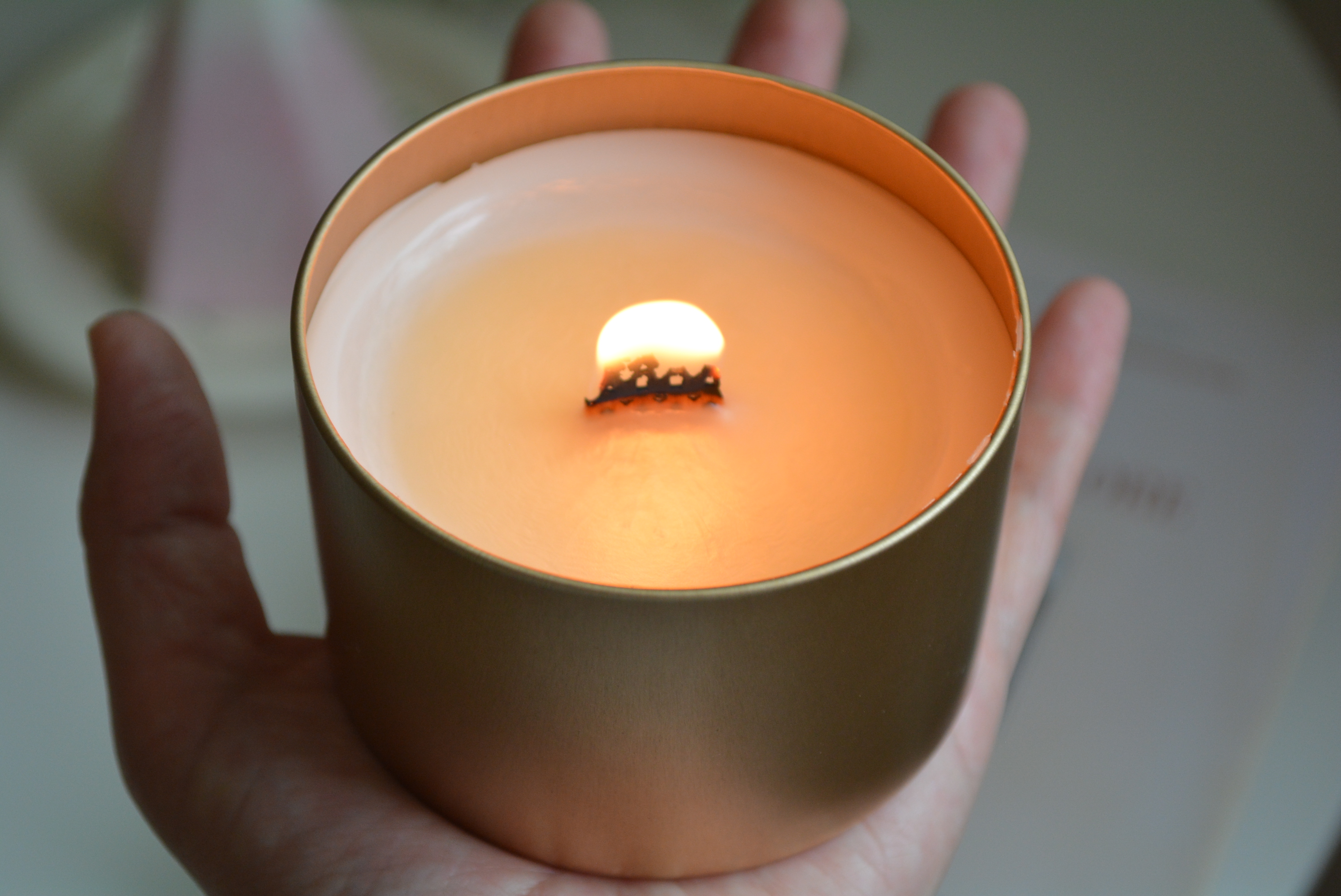 (材料、キット)香りが広がる焚き火キャンドルの作り方の画像2