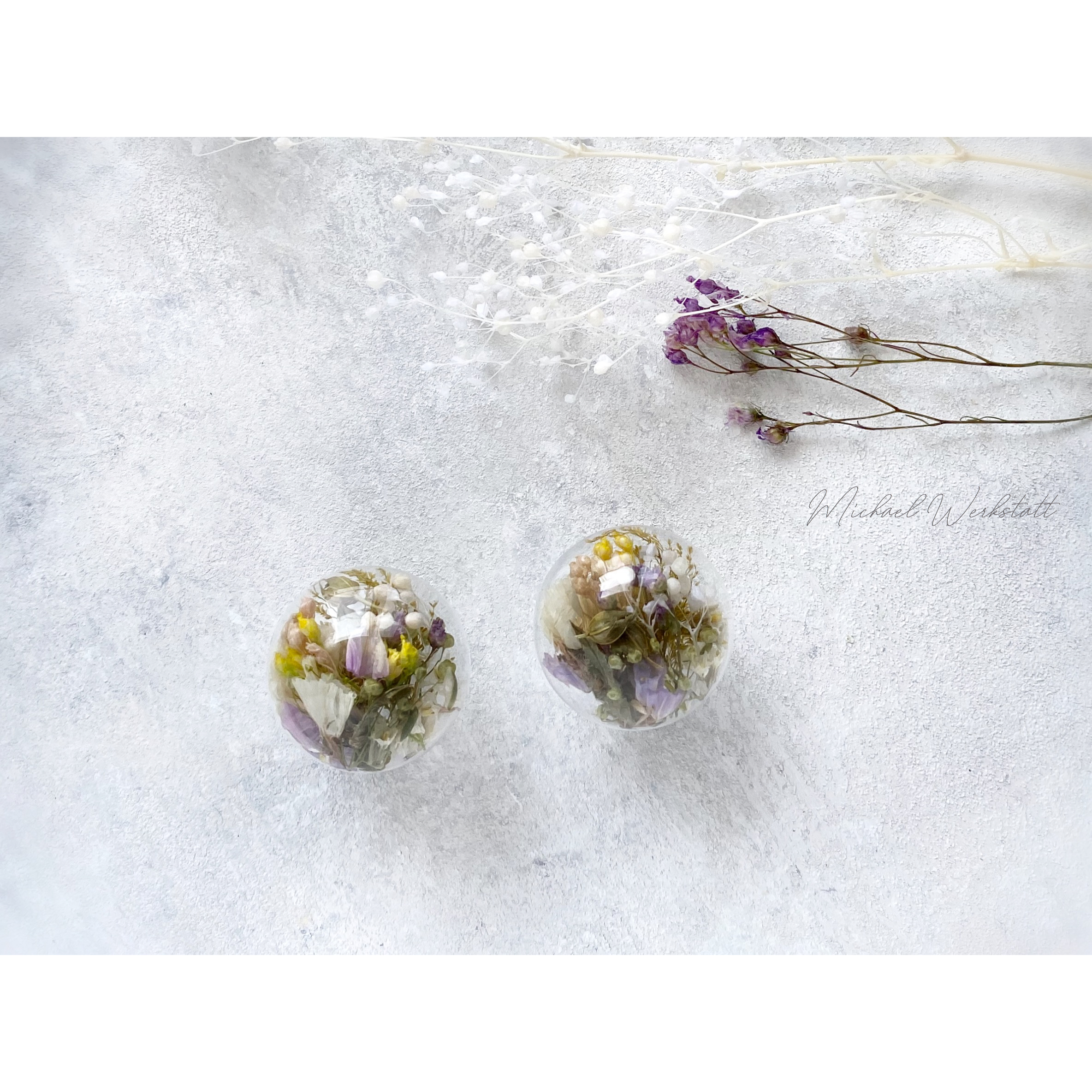 Flowerドームの画像3