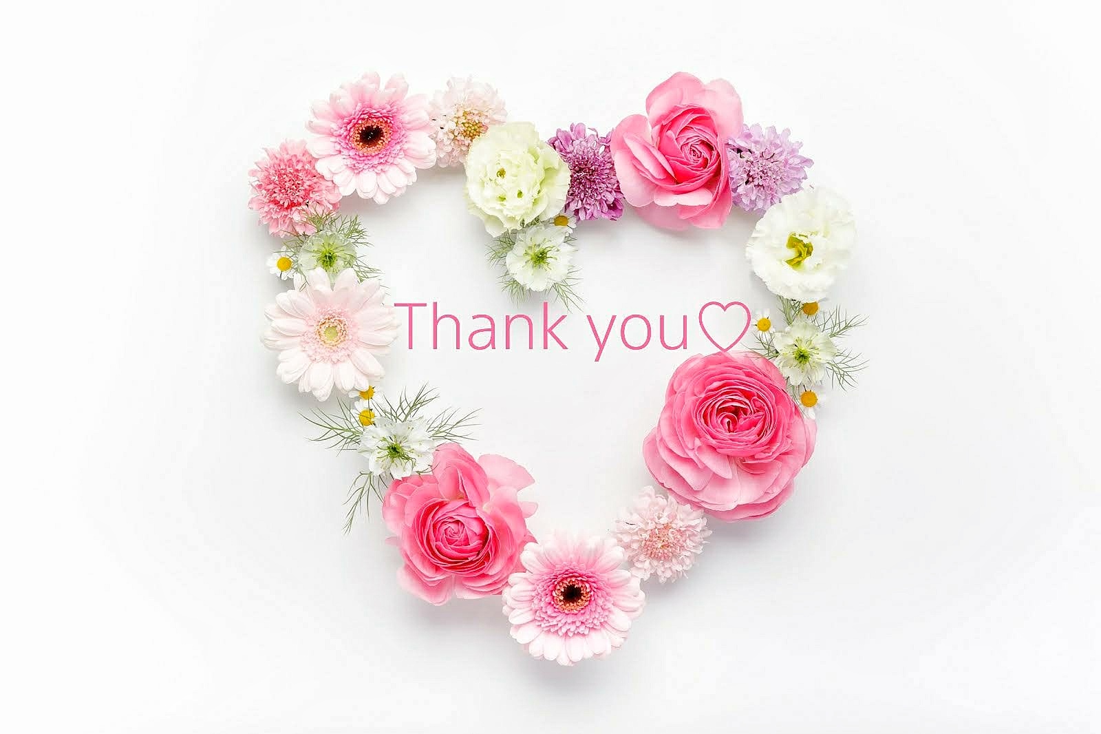 専用ページの画像3