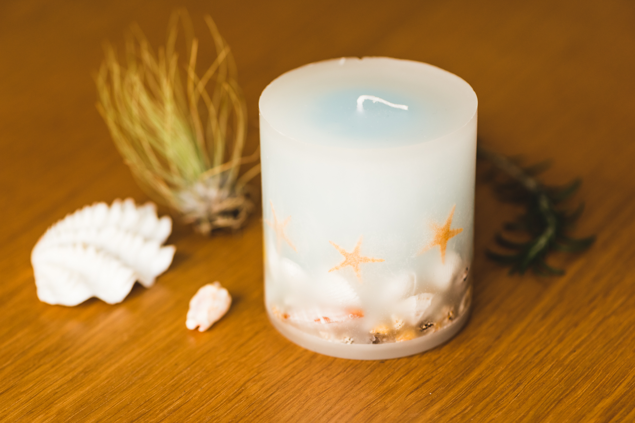Botanical candle【Shell】の画像2