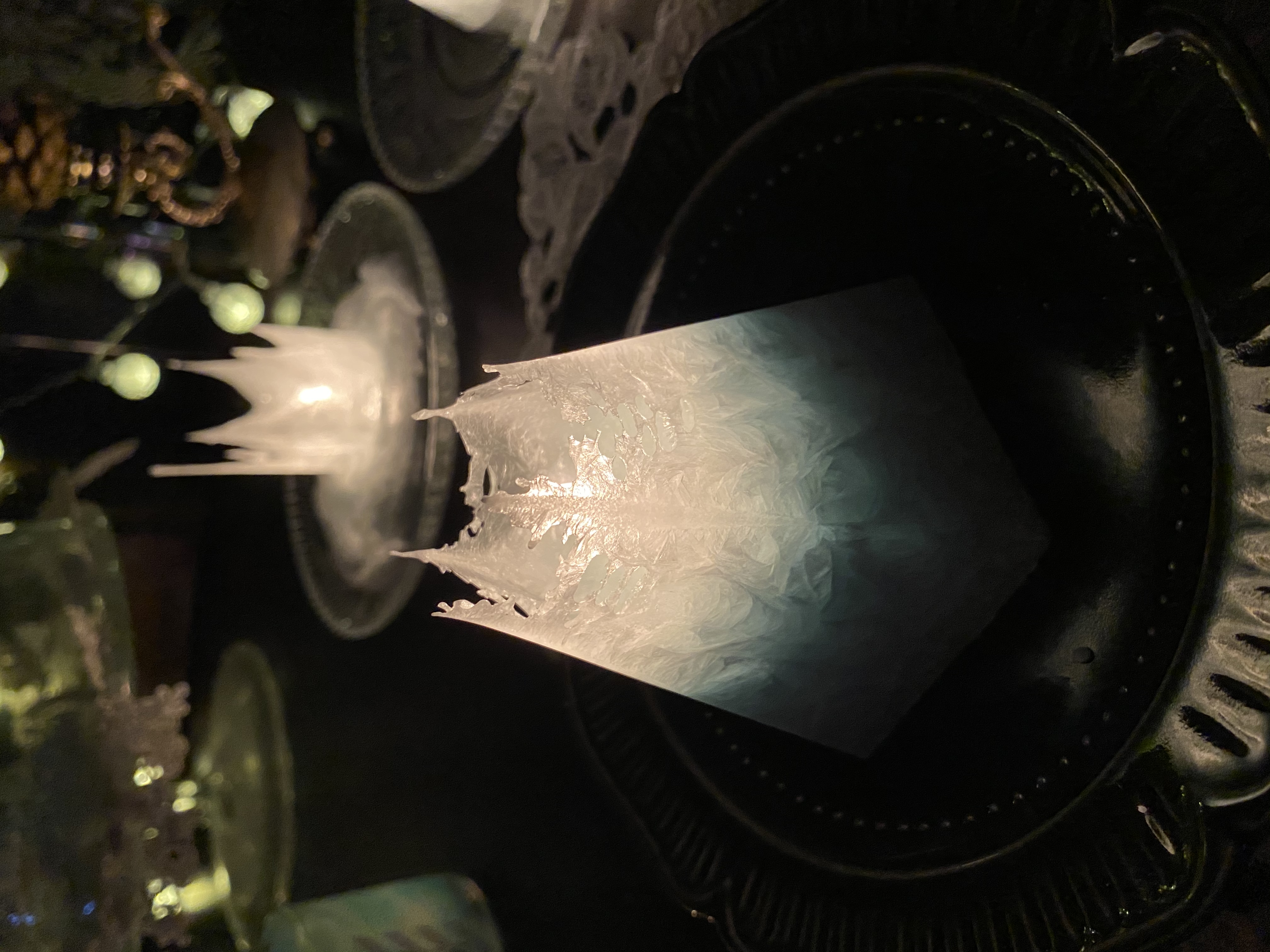 雪の精　*パームフェザーワックス*の画像6