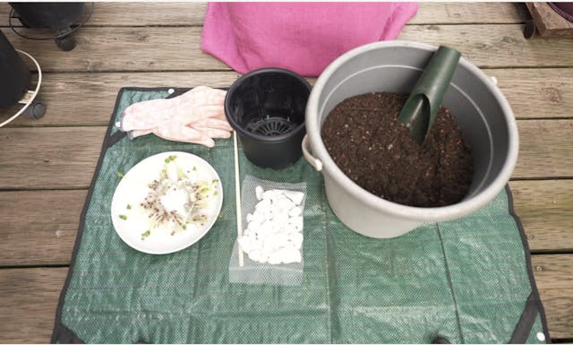 キットのイメージ画像