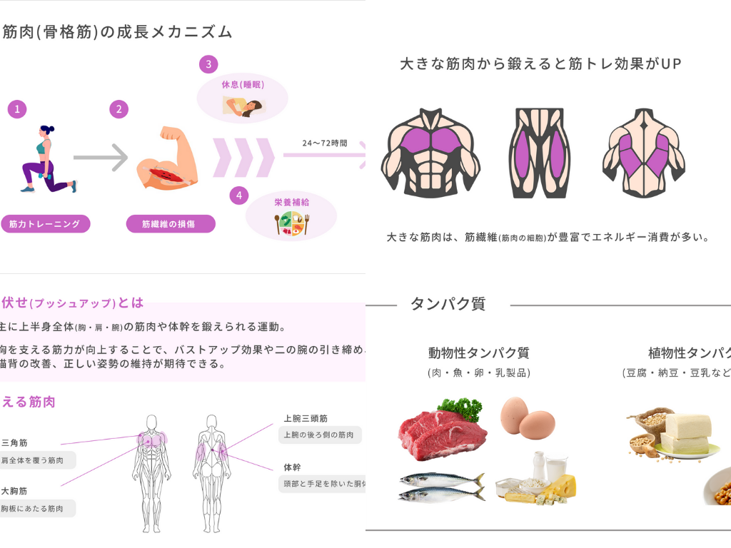 FANTIST認定「ウィメンズボディメイク講座（3級）」の紹介画像2