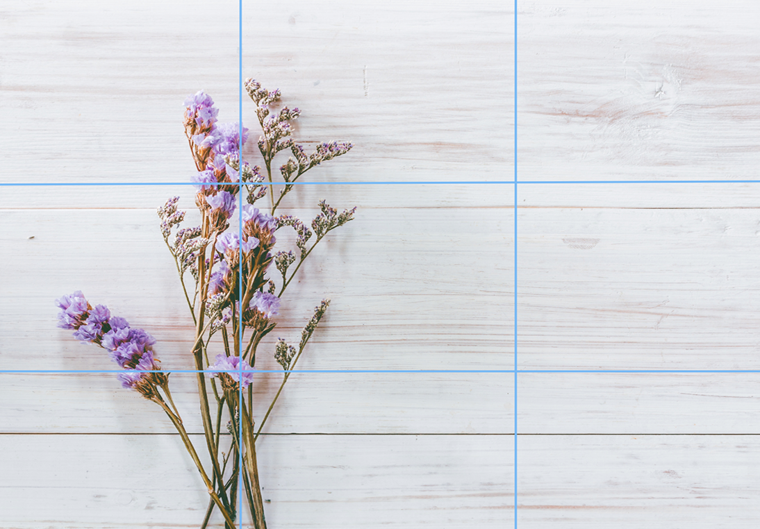 構図の基本の画像