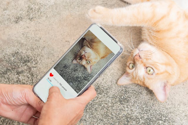 SNS映えする写真を撮りたい方にも